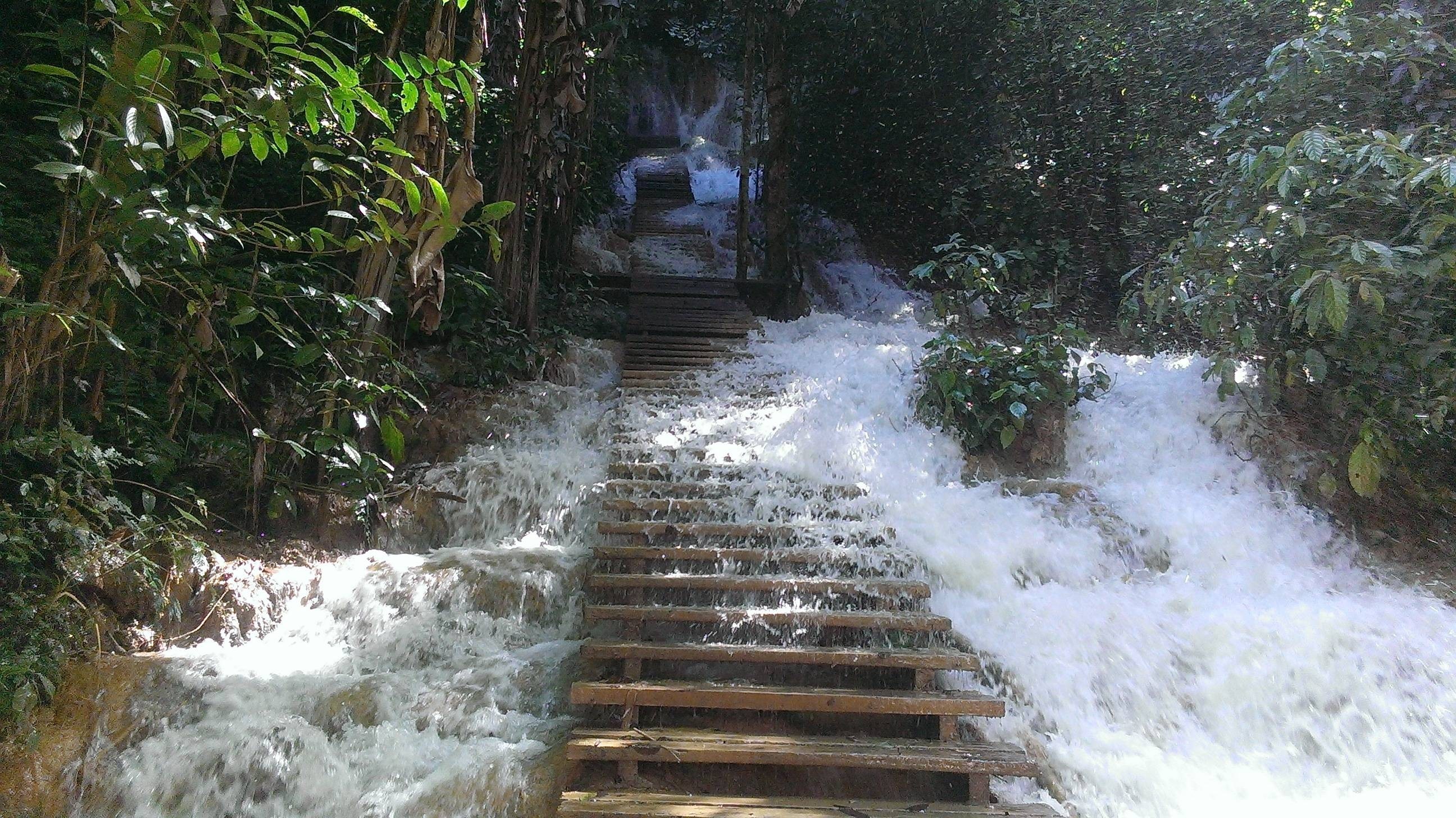 Wooden stairs ascending a cascading waterfall in a forest HD Wallpaper