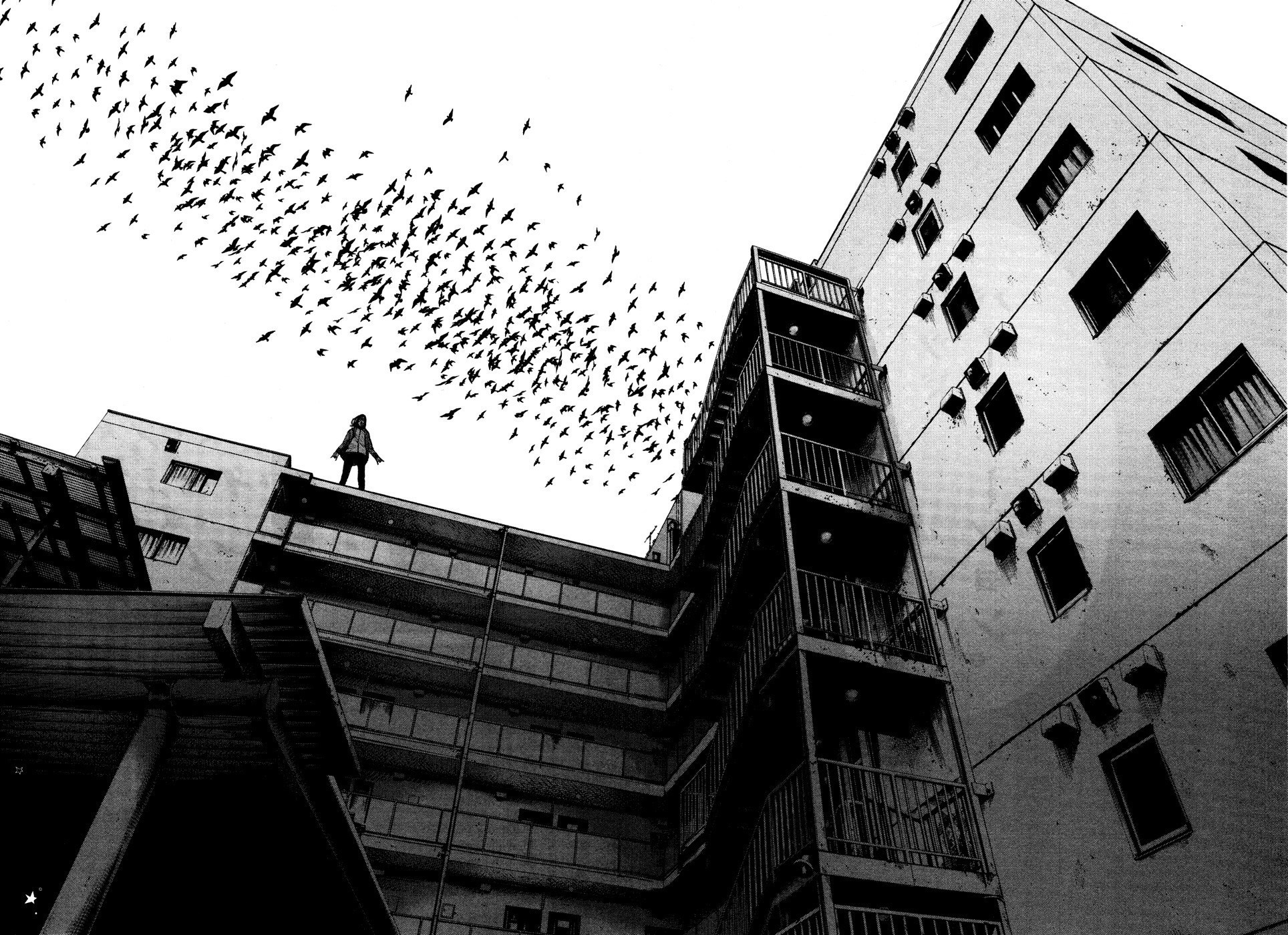 Person on rooftop with flock of birds and buildings HD Wallpaper
