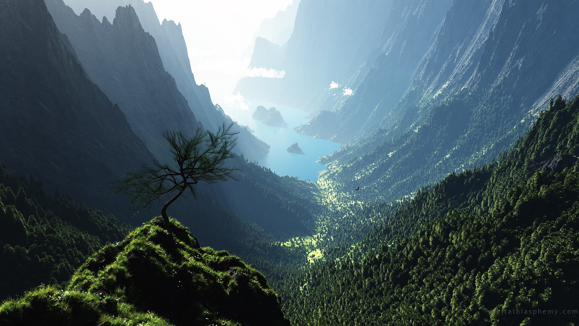 A lone tree on a grassy peak overlooking a vast mountain valley and lake HD Wallpaper