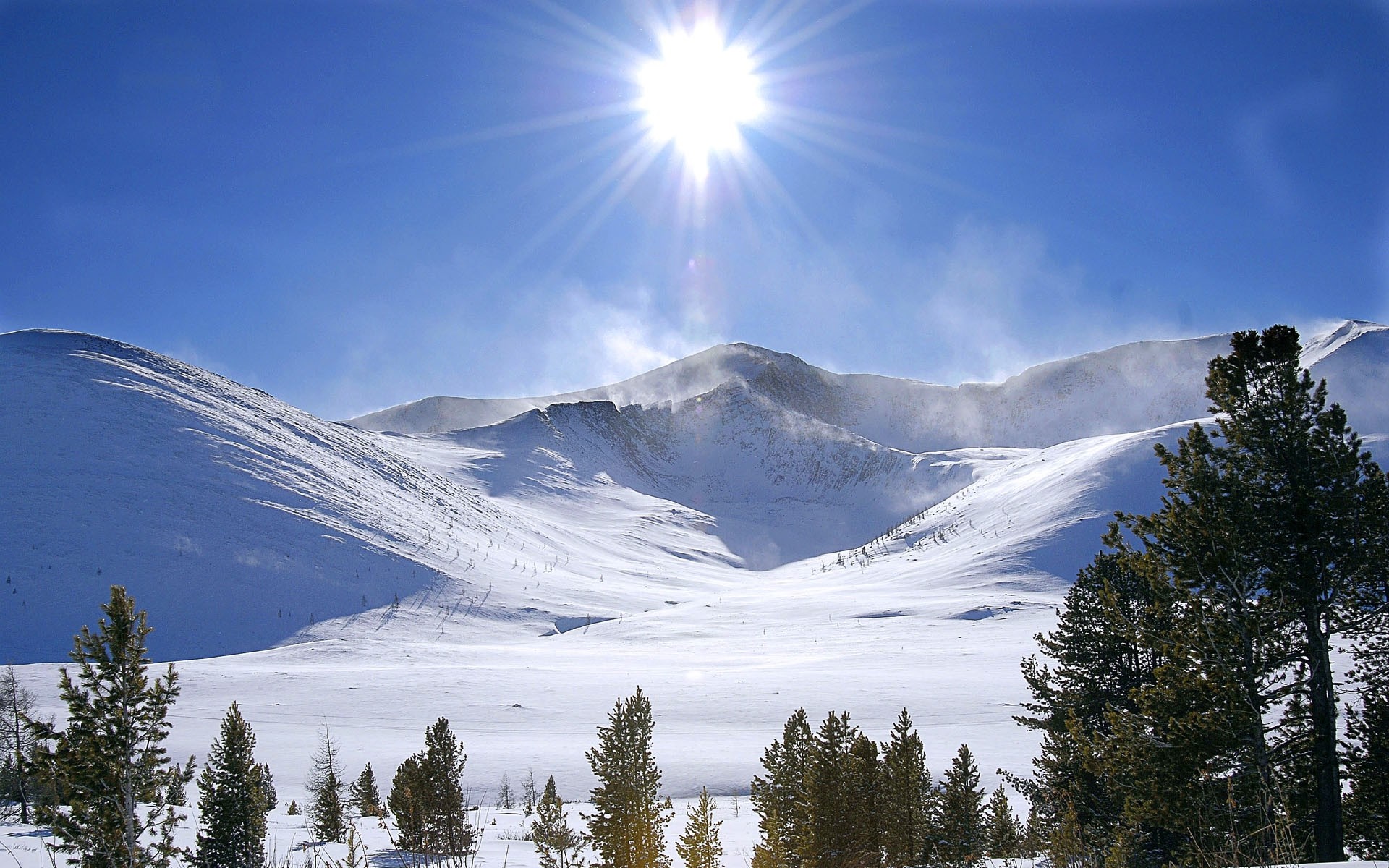 Snowy mountains under bright sun with pine trees HD Wallpaper