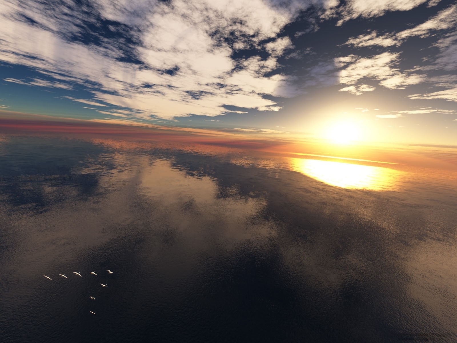 Flock of birds flying over the sea at sunset HD Wallpaper