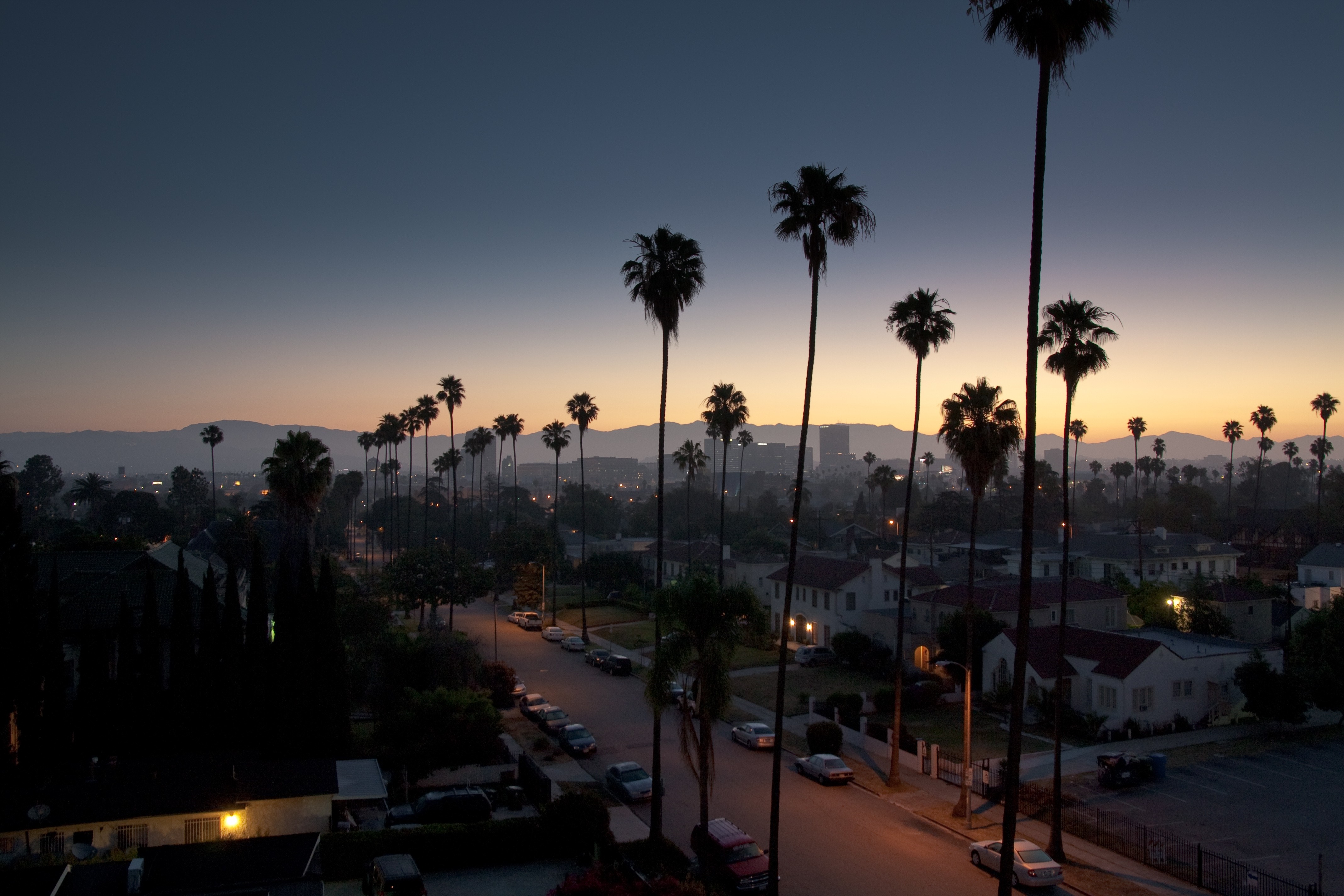 Palm trees and cityscape at dusk HD Wallpaper