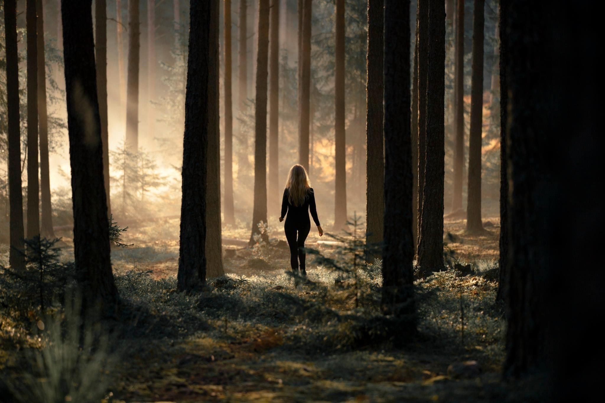 Woman walking in a sunlit forest HD Wallpaper