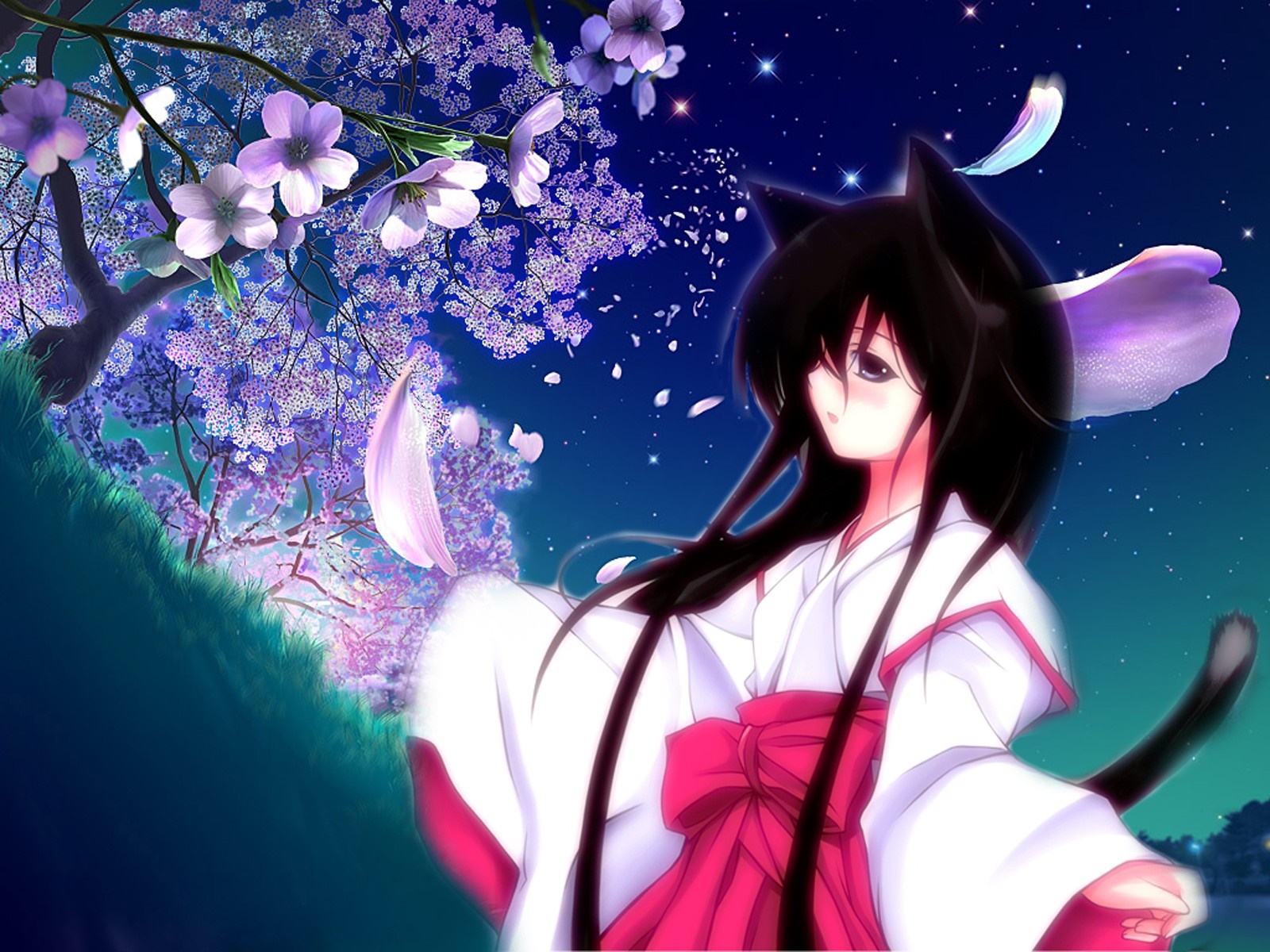 Anime girl with cat ears under cherry blossoms HD Wallpaper