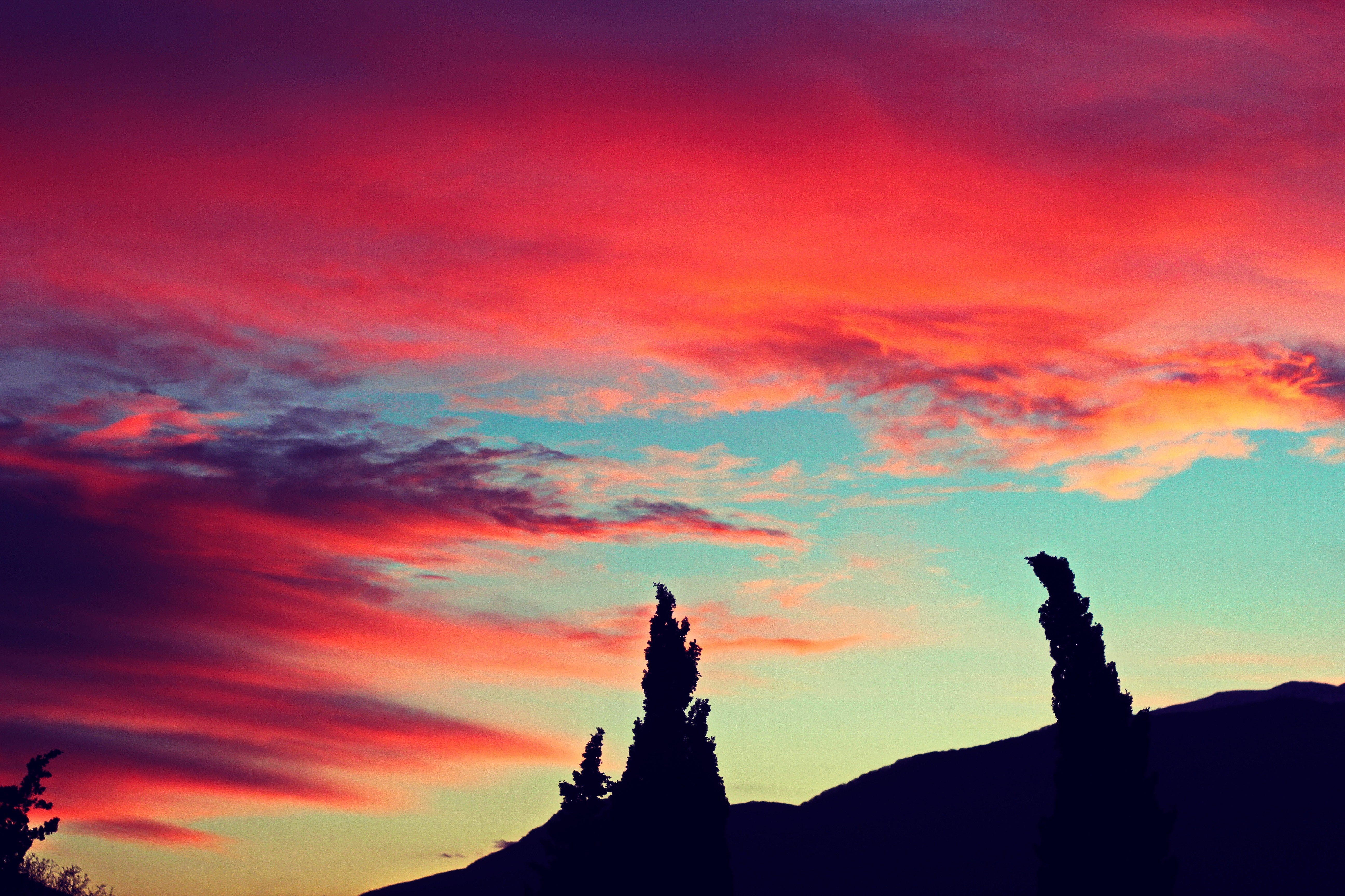 Silhouette of trees against a vibrant sunset sky HD Wallpaper