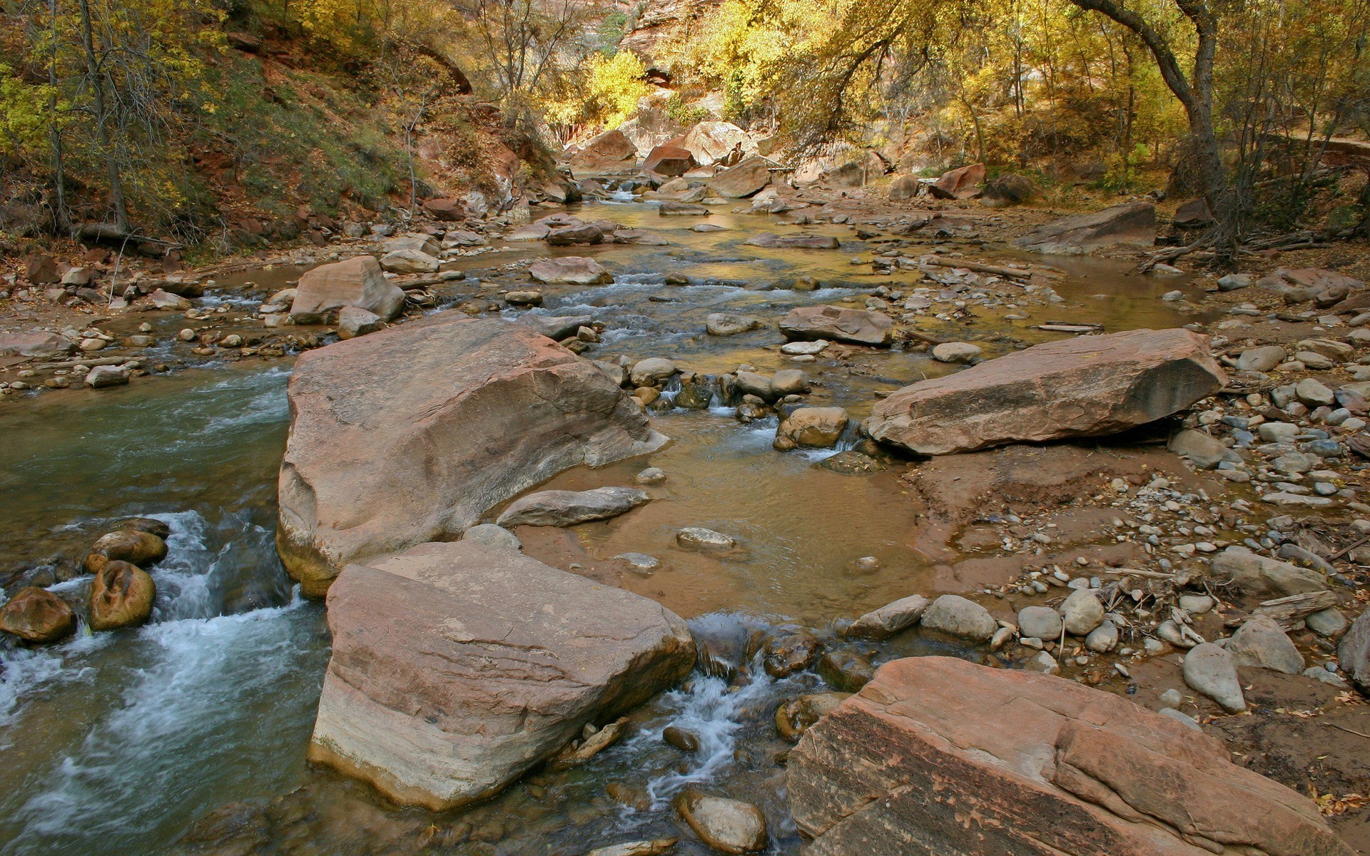 River flowing through a rocky canyon with autumn trees HD Wallpaper