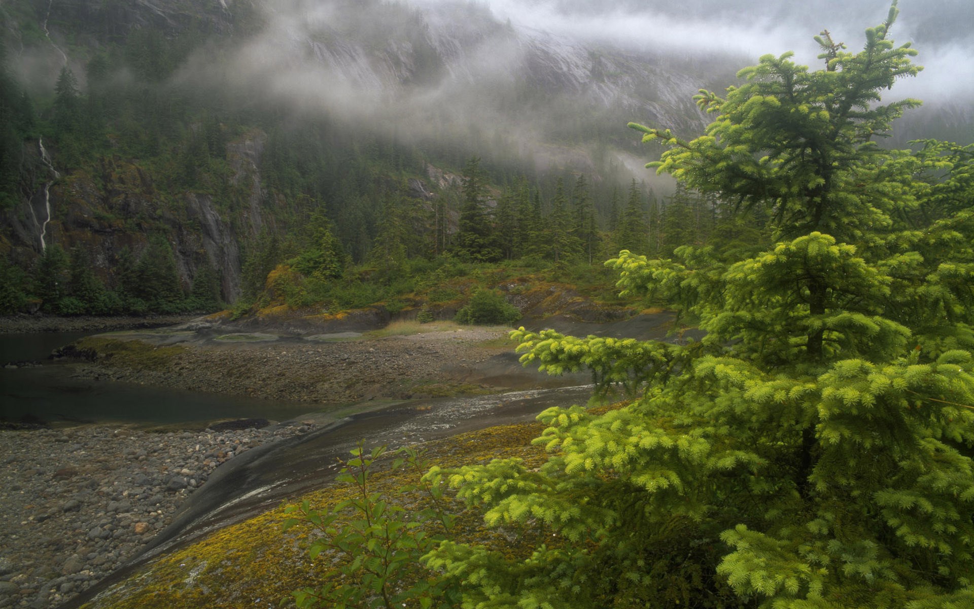 Misty mountains with waterfalls and a forest HD Wallpaper