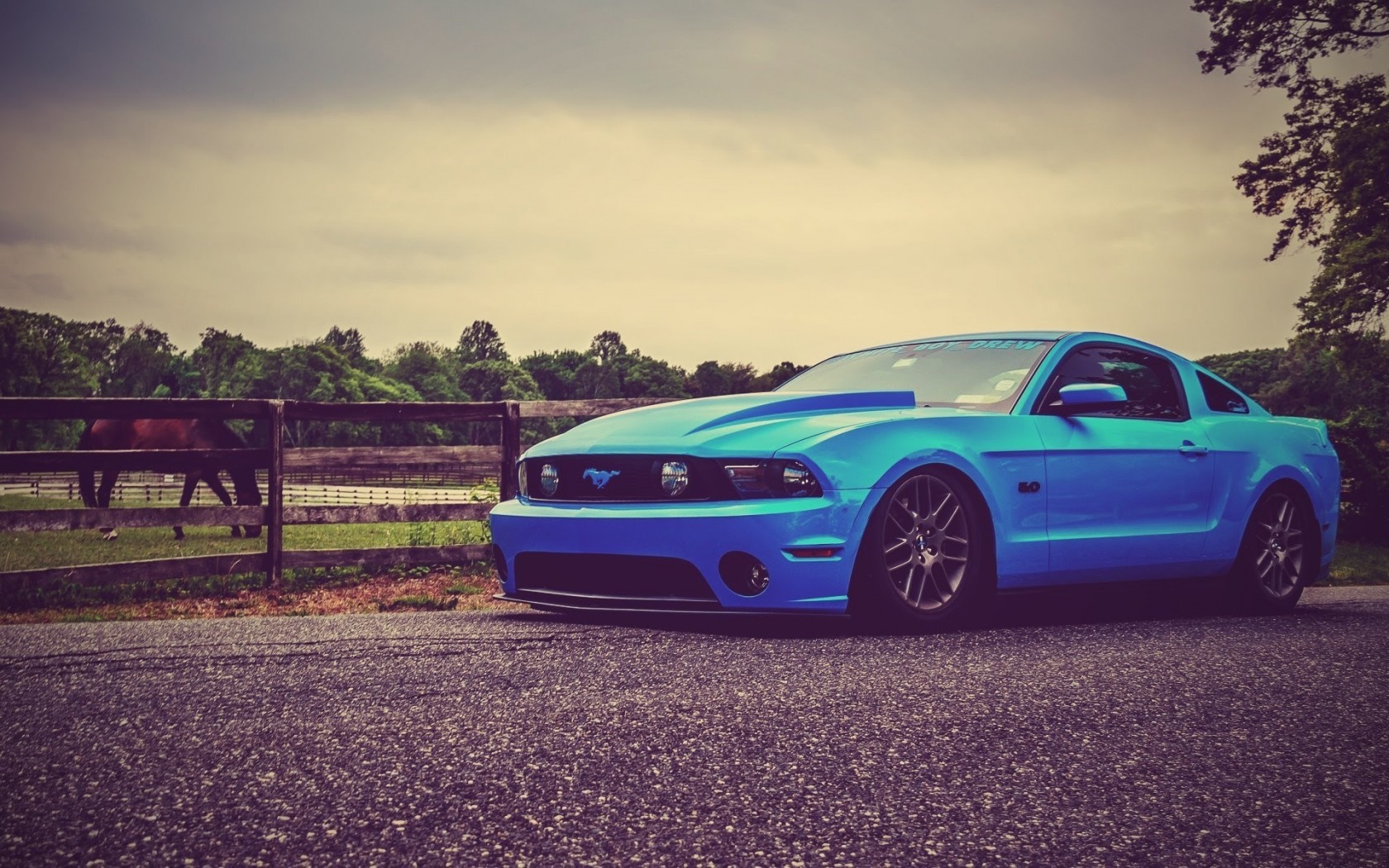 Blue Ford Mustang parked by a fence with a horse HD Wallpaper