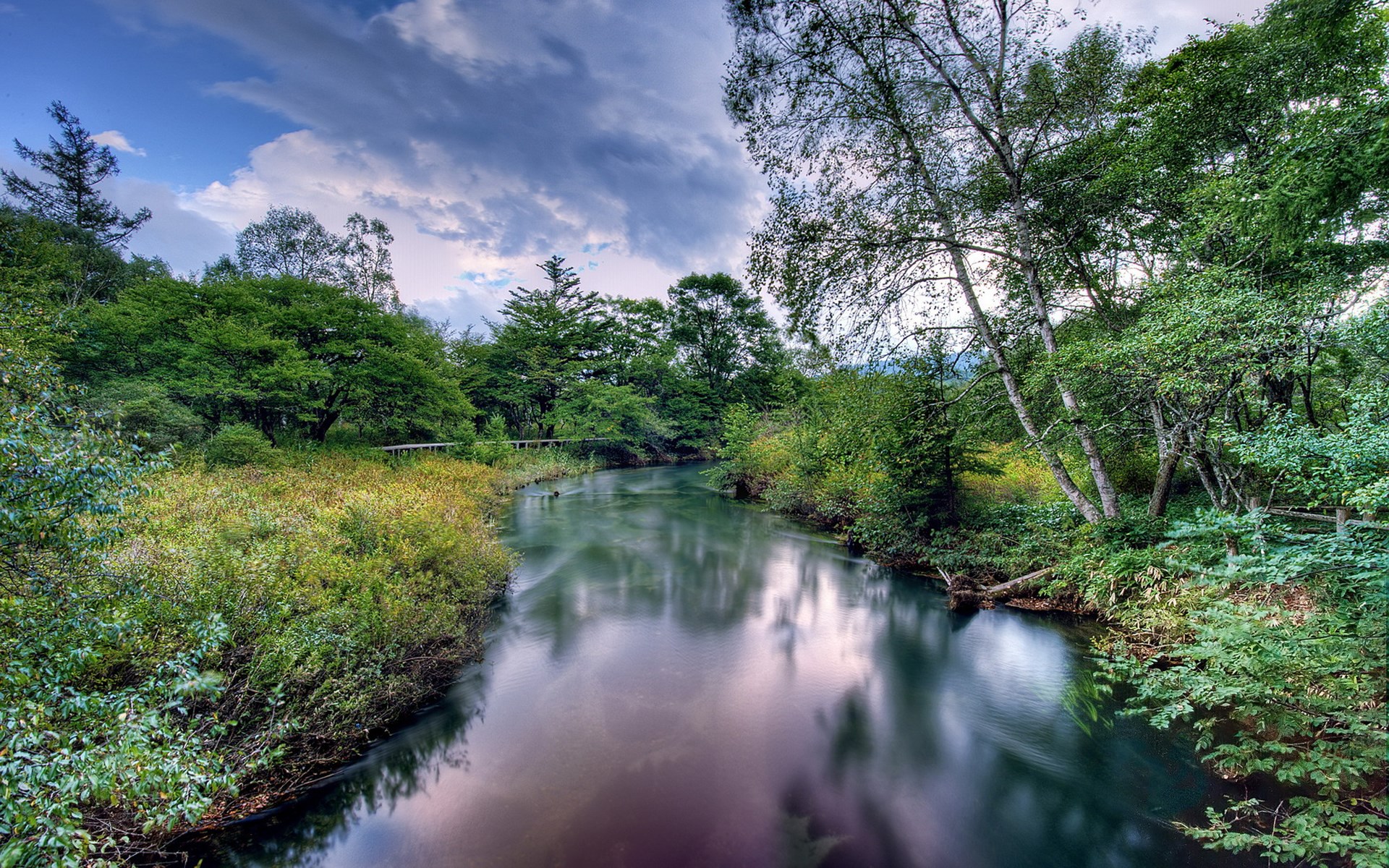 River flowing through a forest with trees and clouds HD Wallpaper