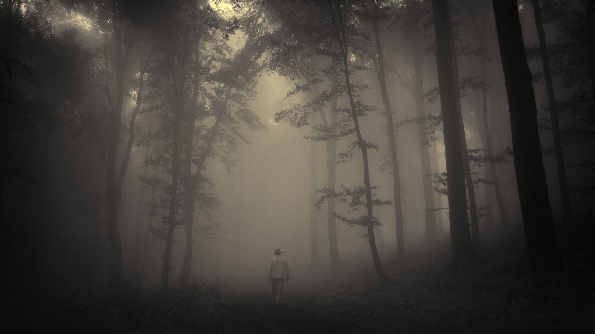 Man walking in a foggy forest HD Wallpaper
