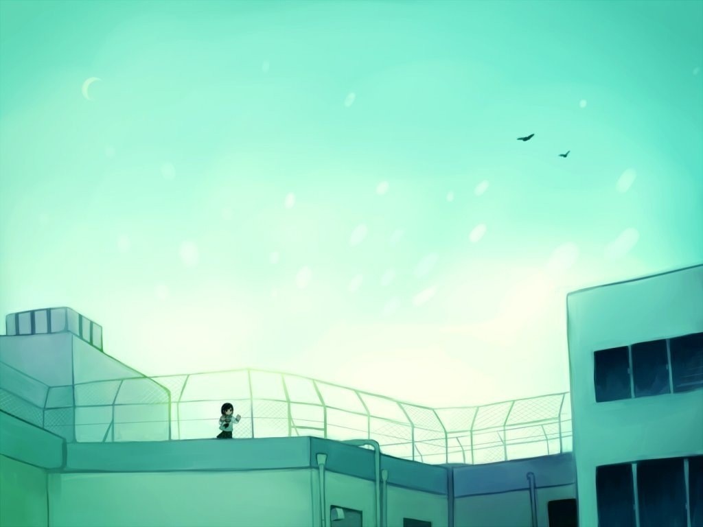 Girl on a rooftop with birds in the sky HD Wallpaper