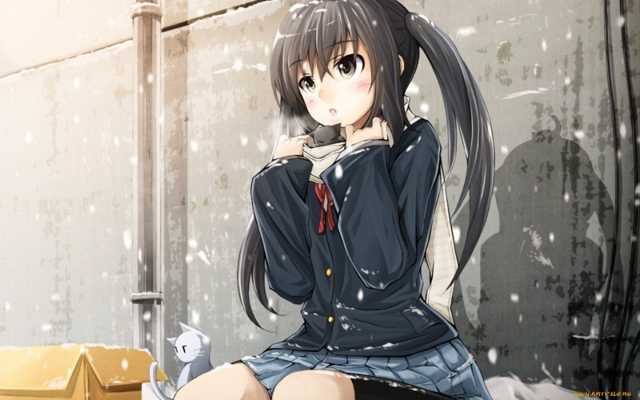 Anime girl with black hair and a cat in the snow HD Wallpaper