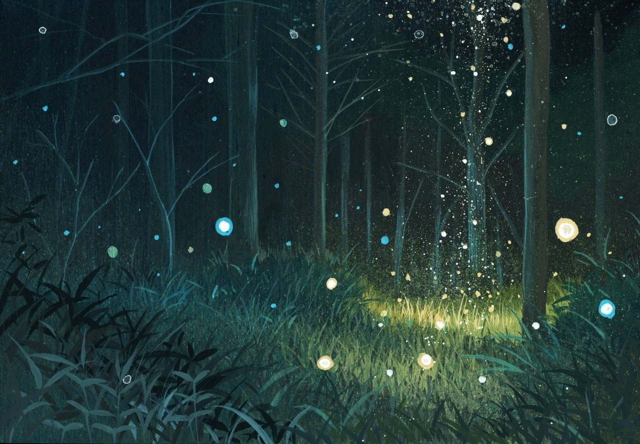 Fireflies in a dark forest at night HD Wallpaper