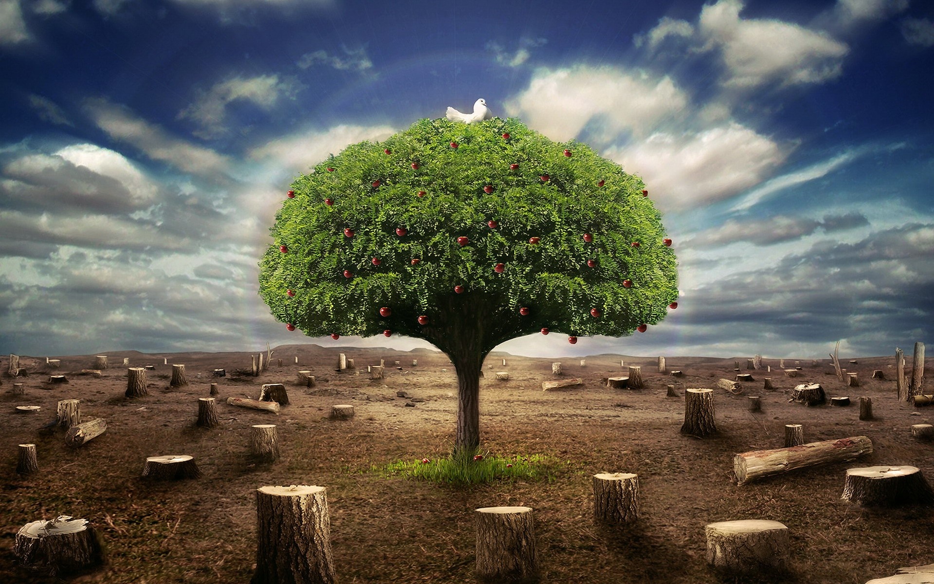 A lone tree with apples and a dove in a barren landscape HD Wallpaper