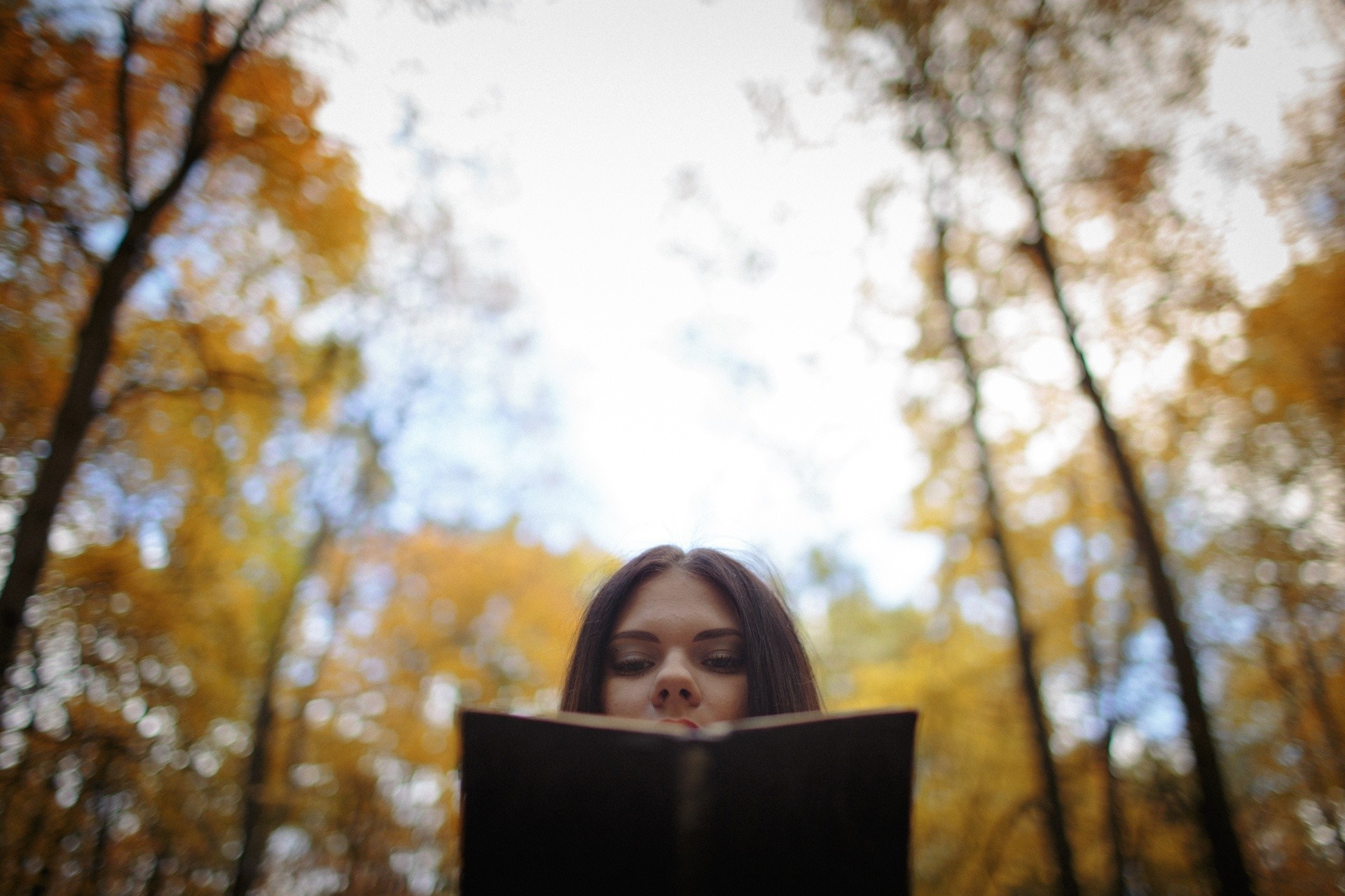 Young woman reading a book in an autumn forest HD Wallpaper