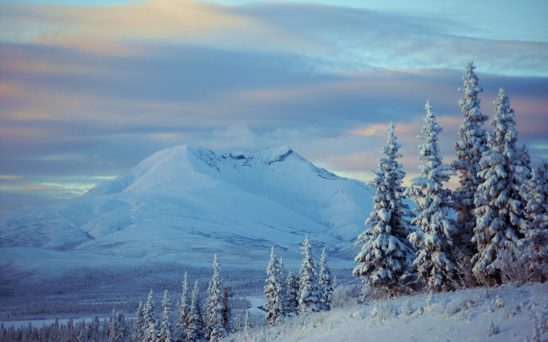 Snow-covered mountain and pine trees under a cloudy sky HD Wallpaper