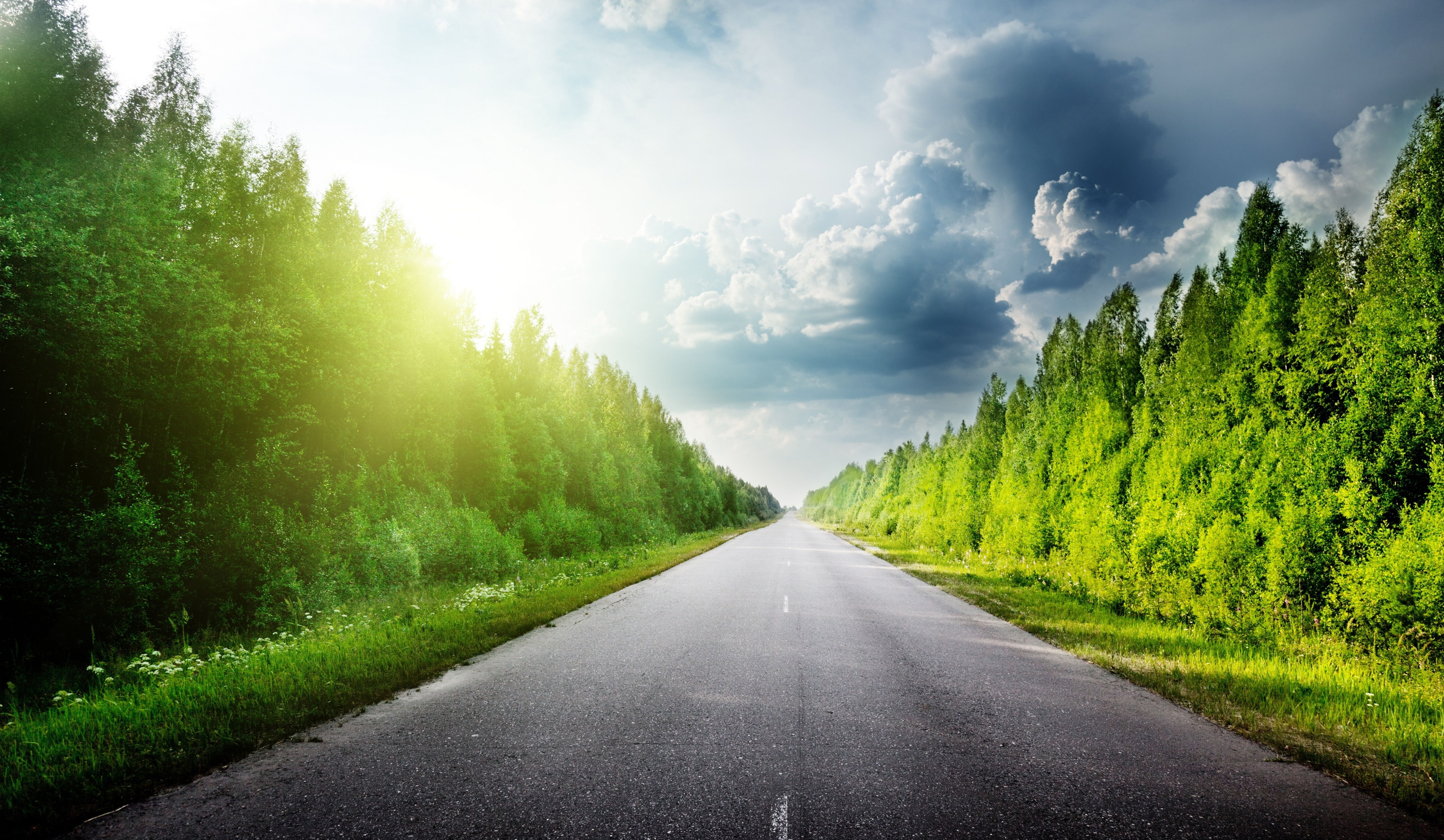 A straight asphalt road through a green forest with sunlight. HD Wallpaper