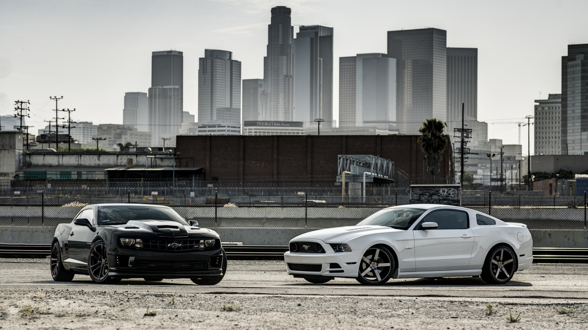 Black Chevrolet Camaro and White Ford Mustang in City HD Wallpaper