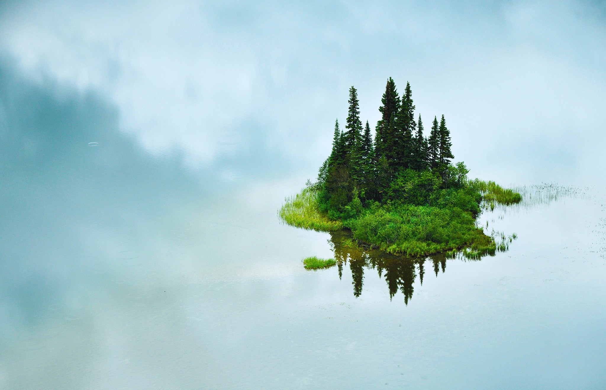 Island with trees reflected in calm water HD Wallpaper