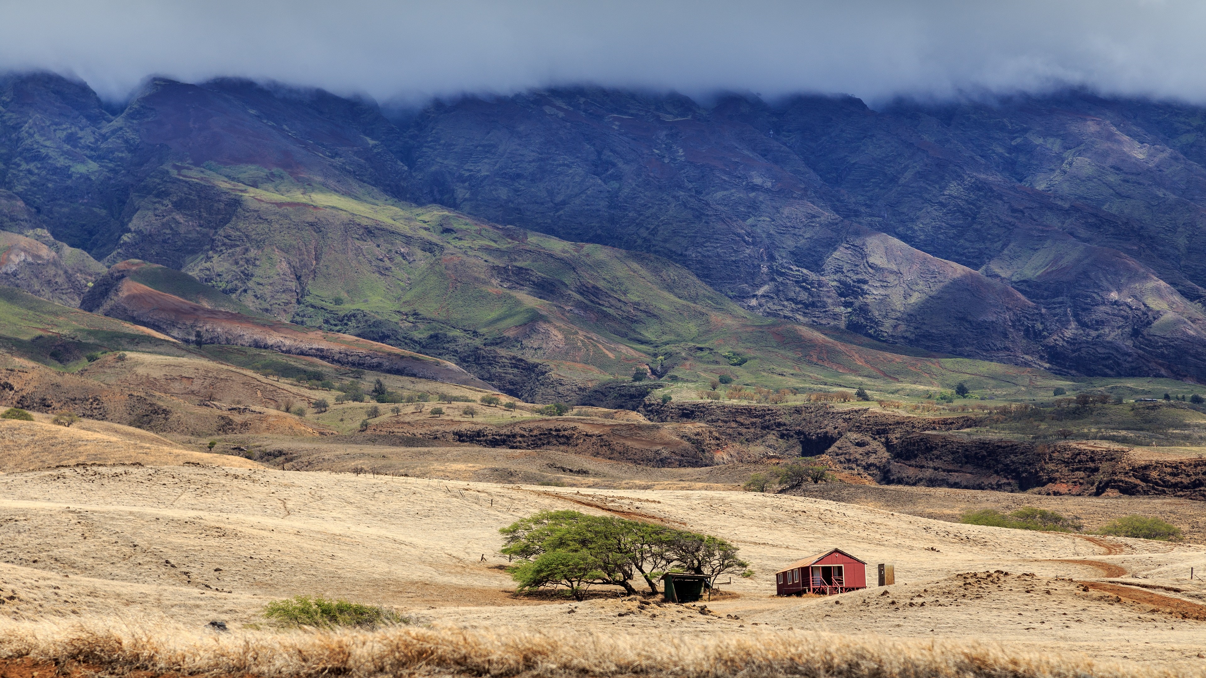 Red barn and tree in a dry landscape with mountains HD Wallpaper