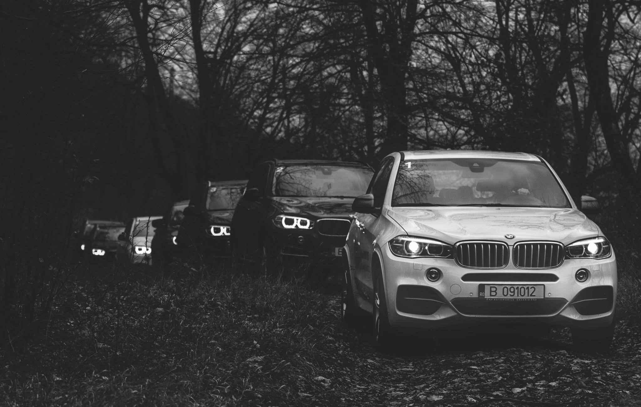 BMW SUVs lined up in a forest HD Wallpaper