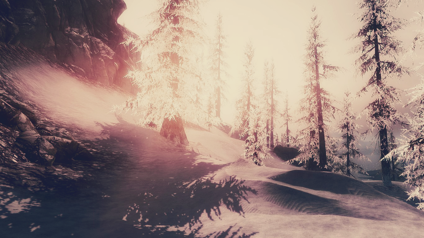 The Elder Scrolls V Skyrim winter forest scene HD Wallpaper