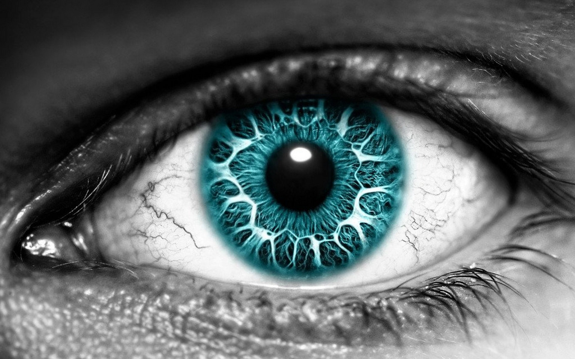 Close-up of a blue eye with black and white tones HD Wallpaper