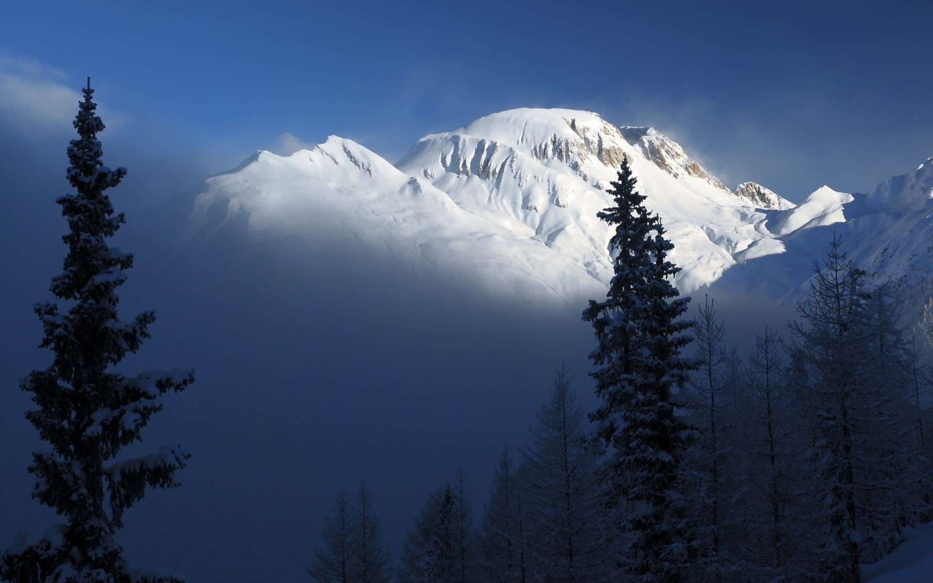 Snow-covered mountains and pine trees under a blue sky HD Wallpaper