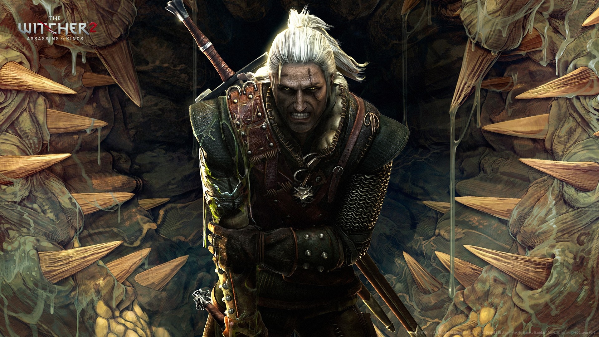 Geralt of Rivia from The Witcher 2 Assassins of Kings HD Wallpaper