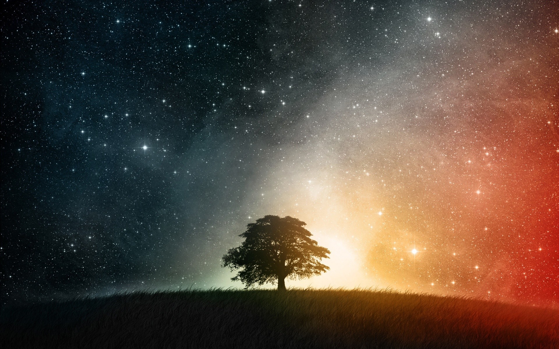 Lone tree under a starry galaxy sky HD Wallpaper