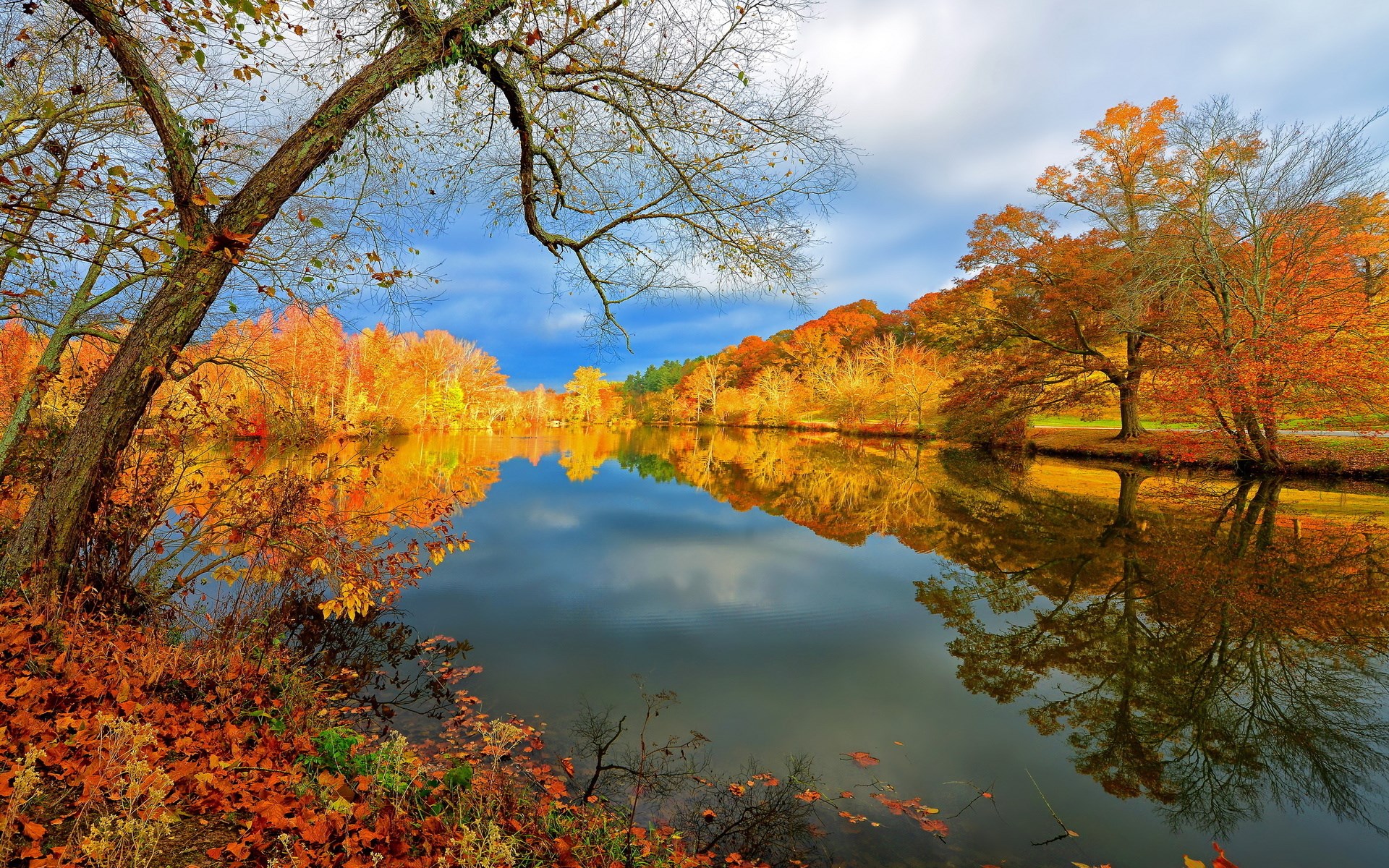 Autumn trees reflecting in a calm lake HD Wallpaper