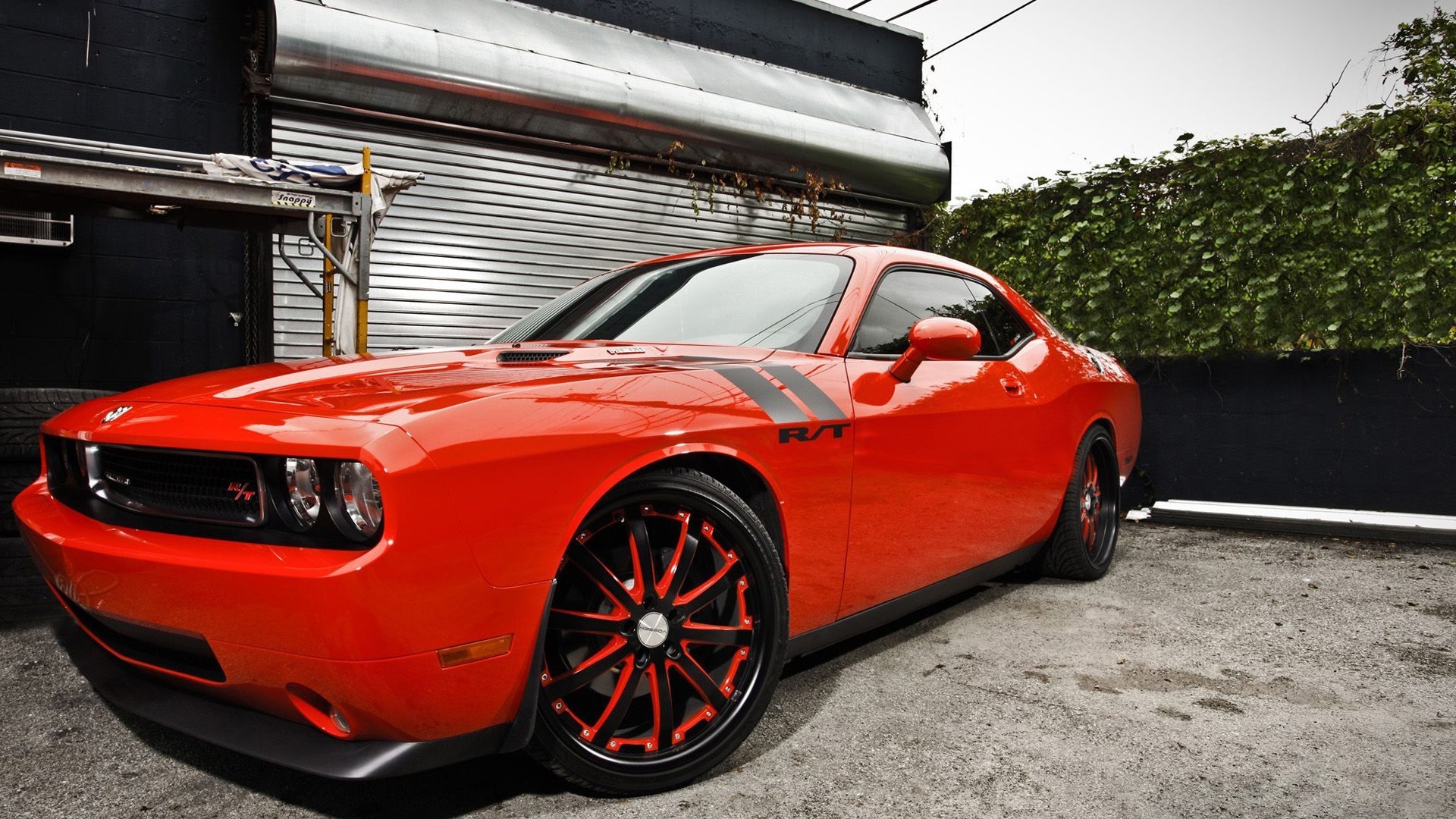 Red Dodge Challenger R/T with custom wheels HD Wallpaper