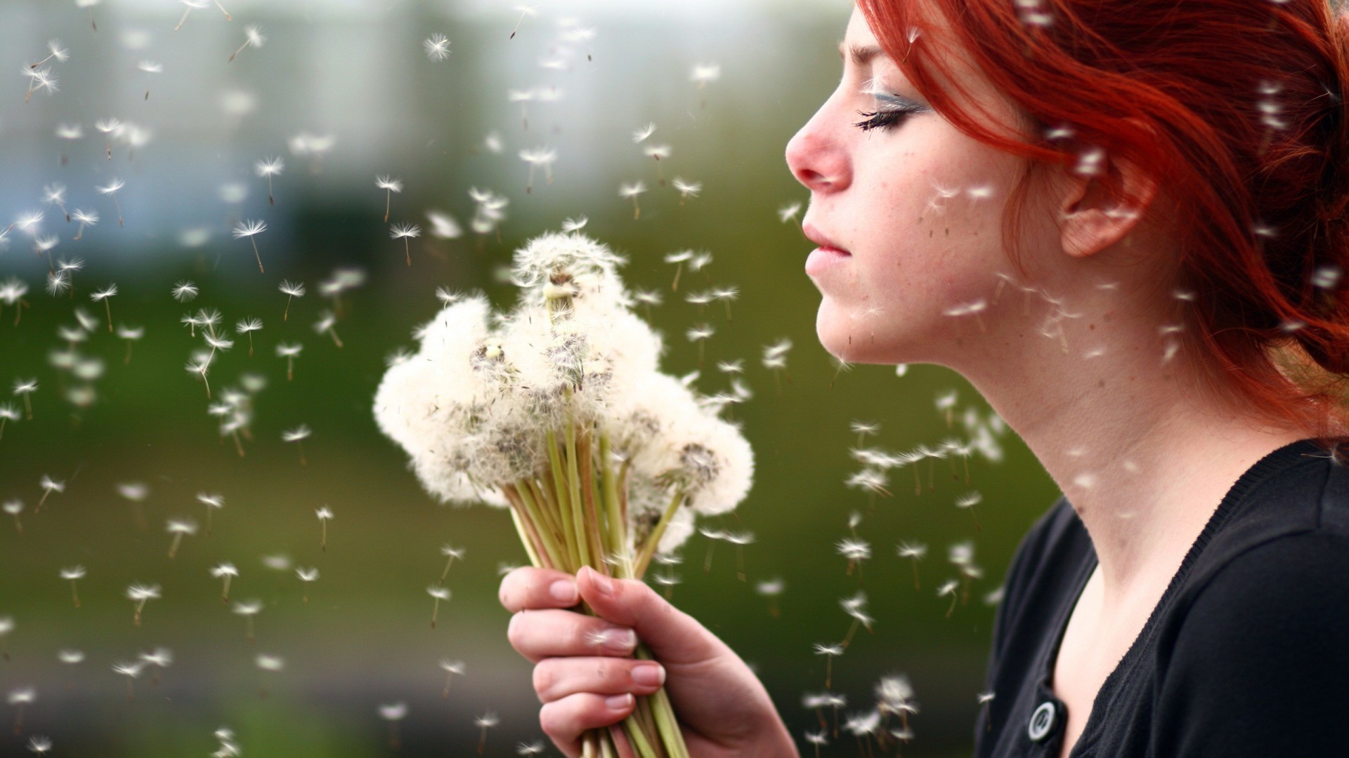 Redhead woman blowing dandelion seeds HD Wallpaper