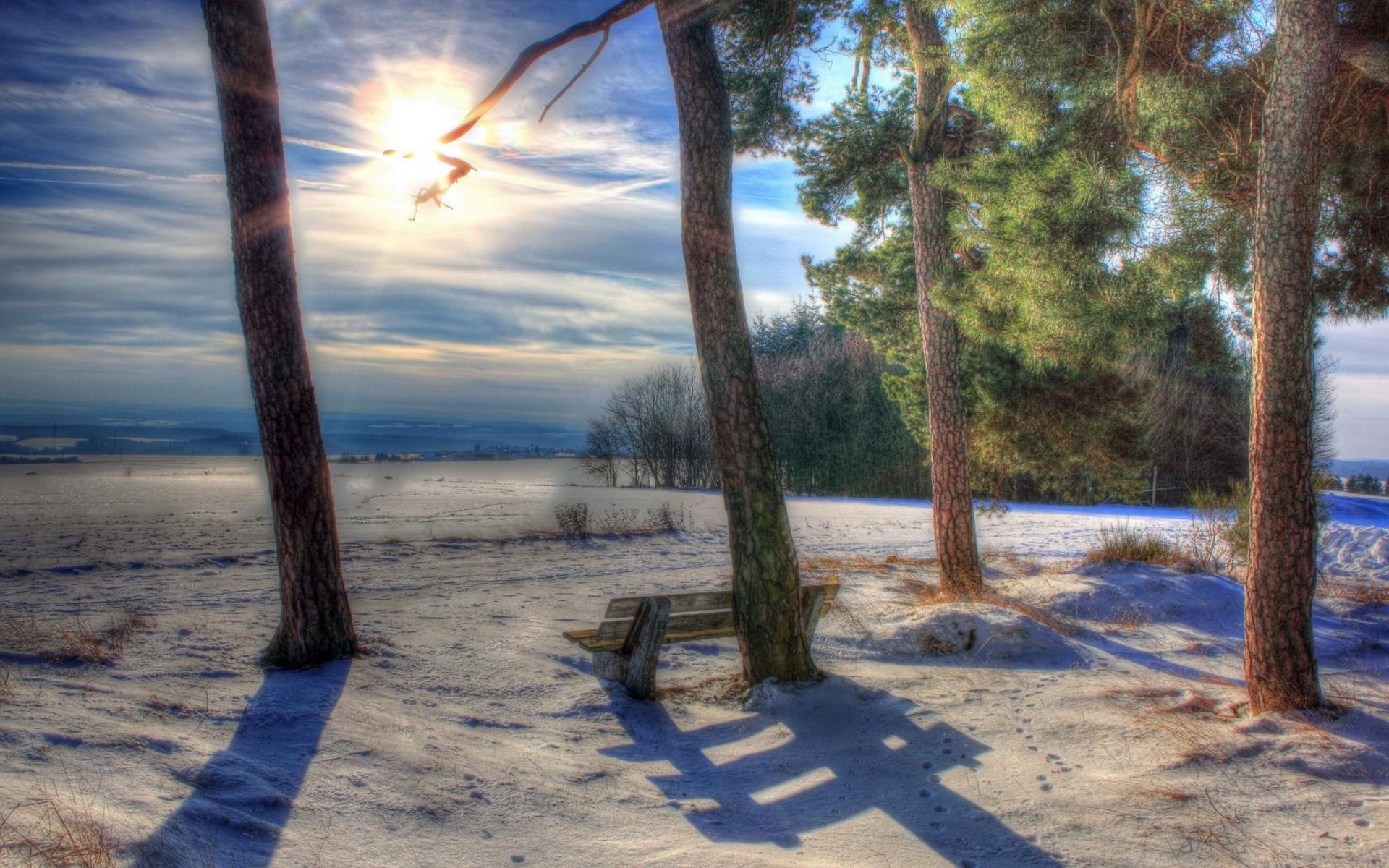 Winter landscape with trees and a bench HD Wallpaper