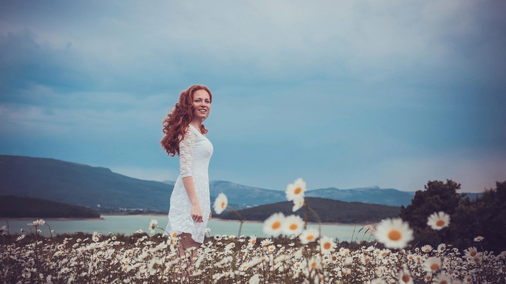 Woman in white dress in a field of daisies HD Wallpaper