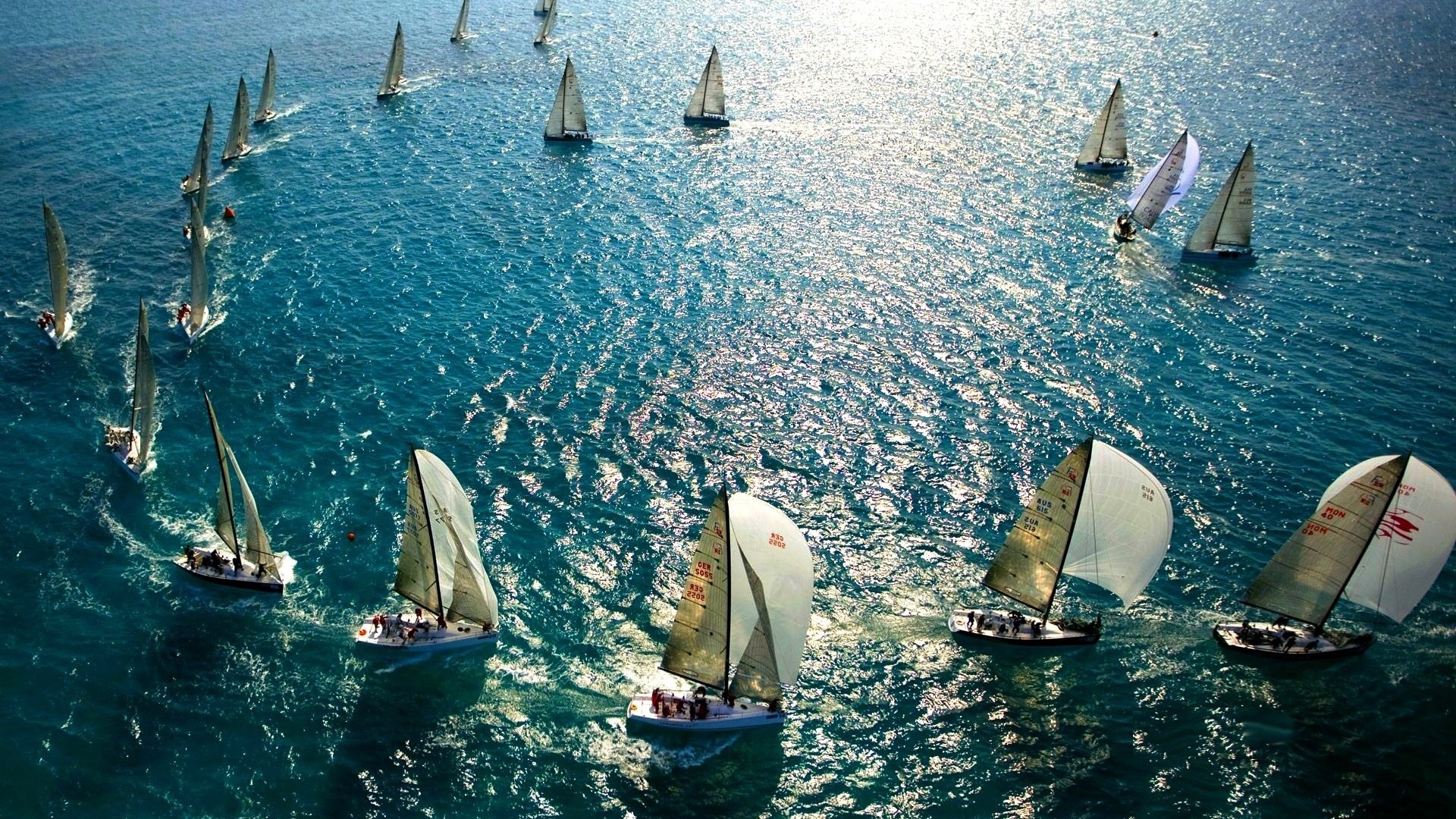 Sailboats racing on a bright blue ocean HD Wallpaper