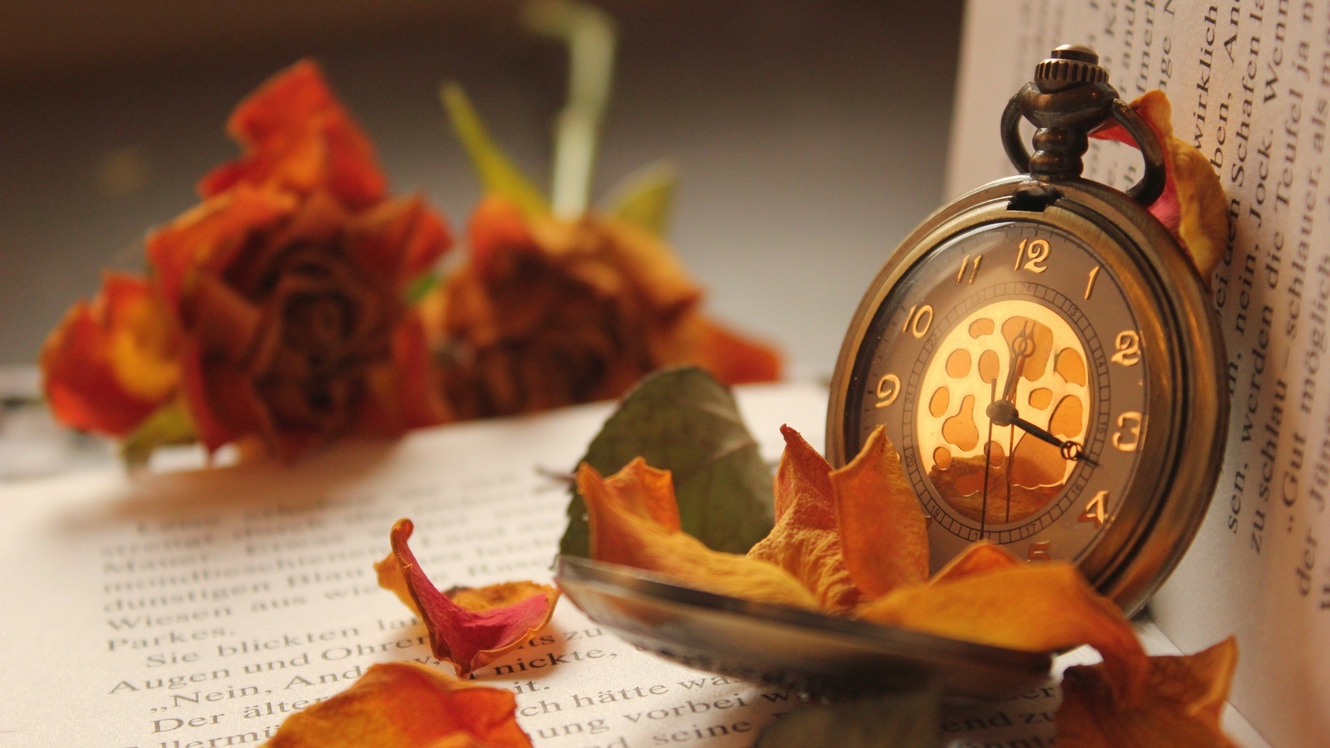 Pocket watch and dried roses on a book HD Wallpaper