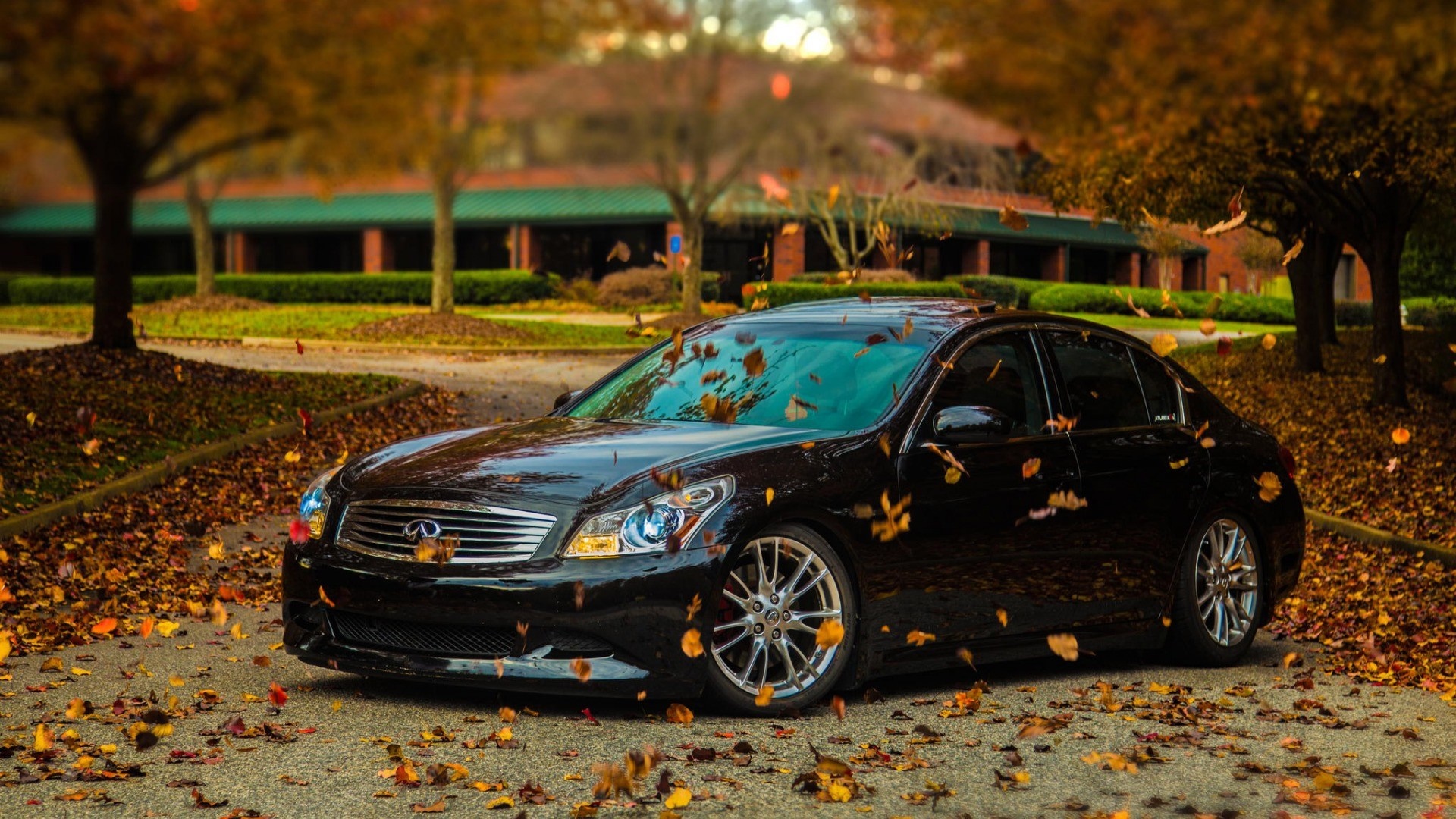 Black Infiniti Sedan surrounded by autumn leaves HD Wallpaper