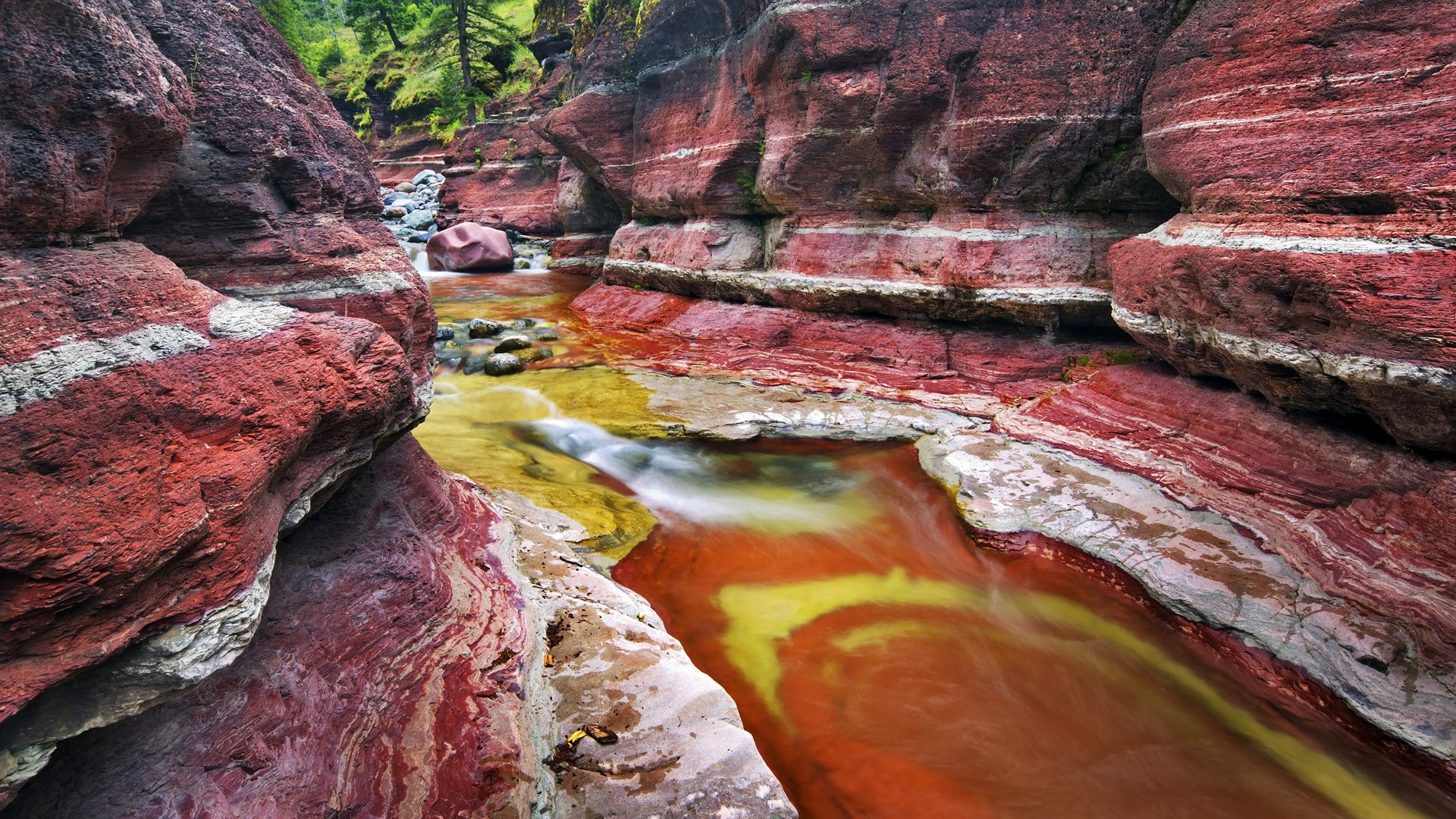 Red rock canyon with a flowing river HD Wallpaper