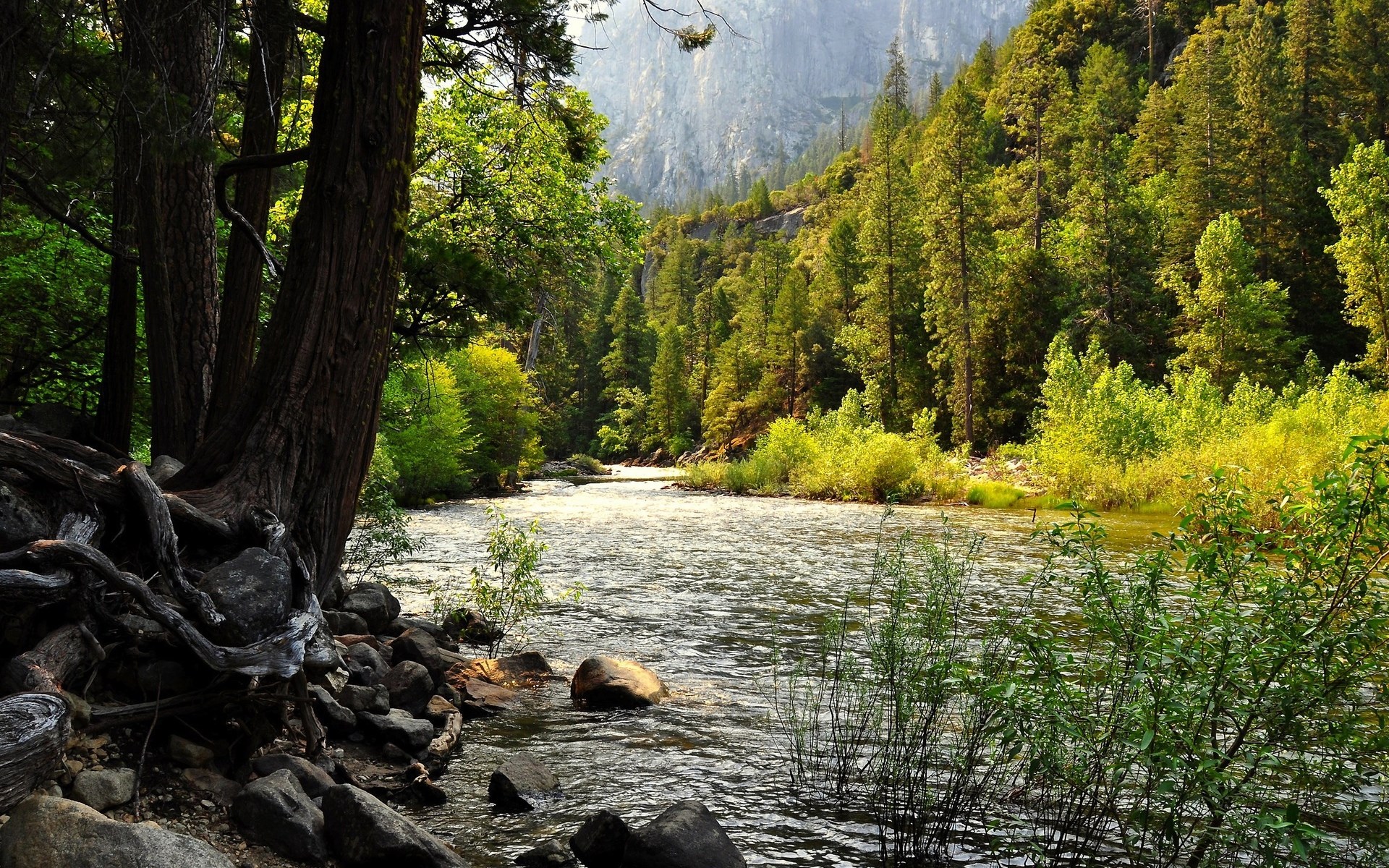 River flowing through a forest with mountains in the background HD Wallpaper