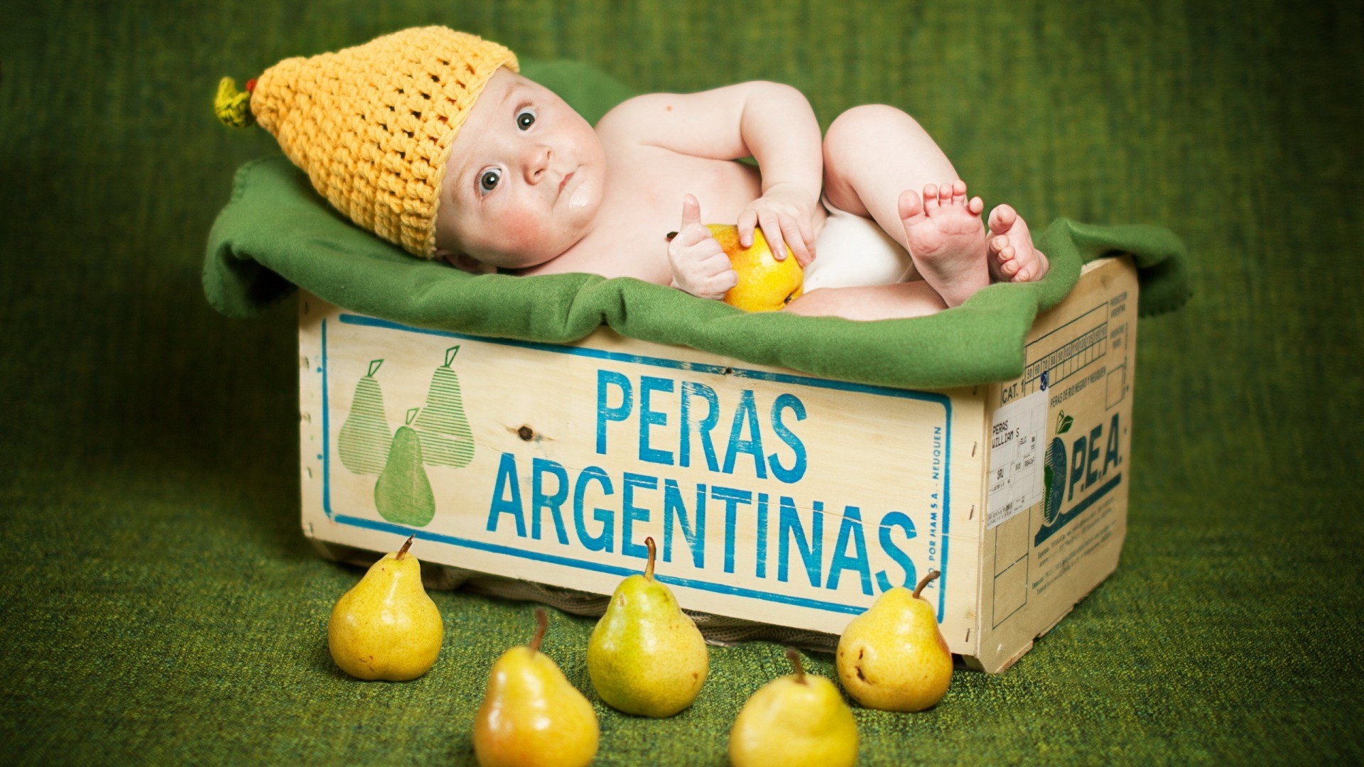 Baby in a crate with Argentinian pears HD Wallpaper