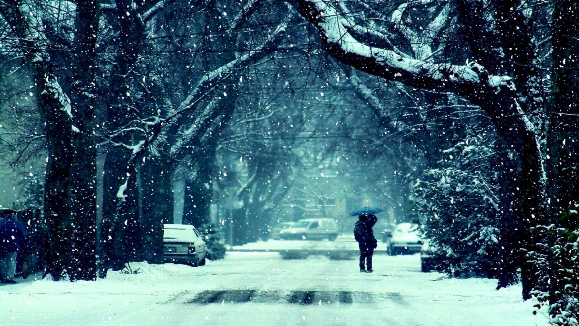 Person with umbrella in a snowy street with trees HD Wallpaper