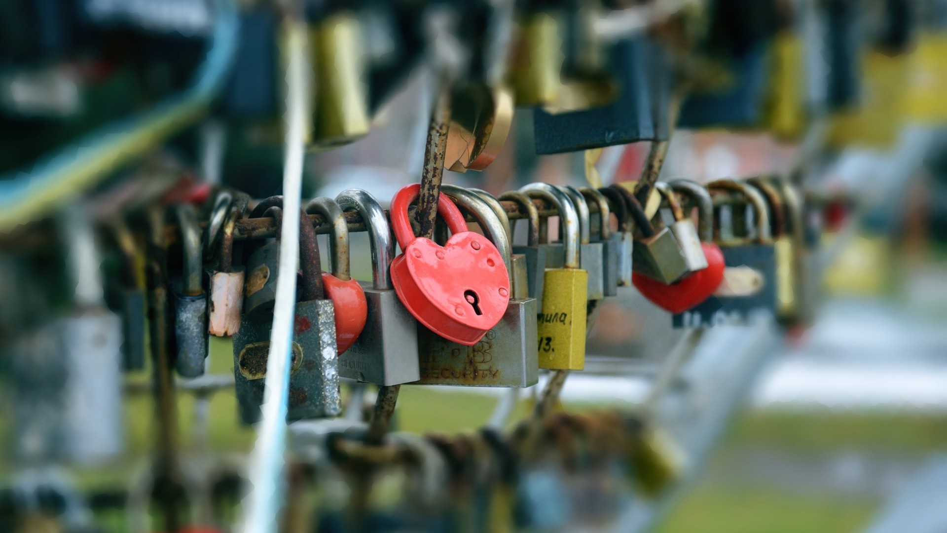 Heart-shaped padlock and other locks on a railing HD Wallpaper