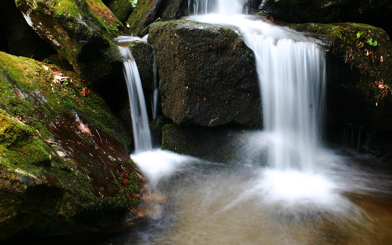 Waterfall cascading over moss-covered rocks in a forest HD Wallpaper