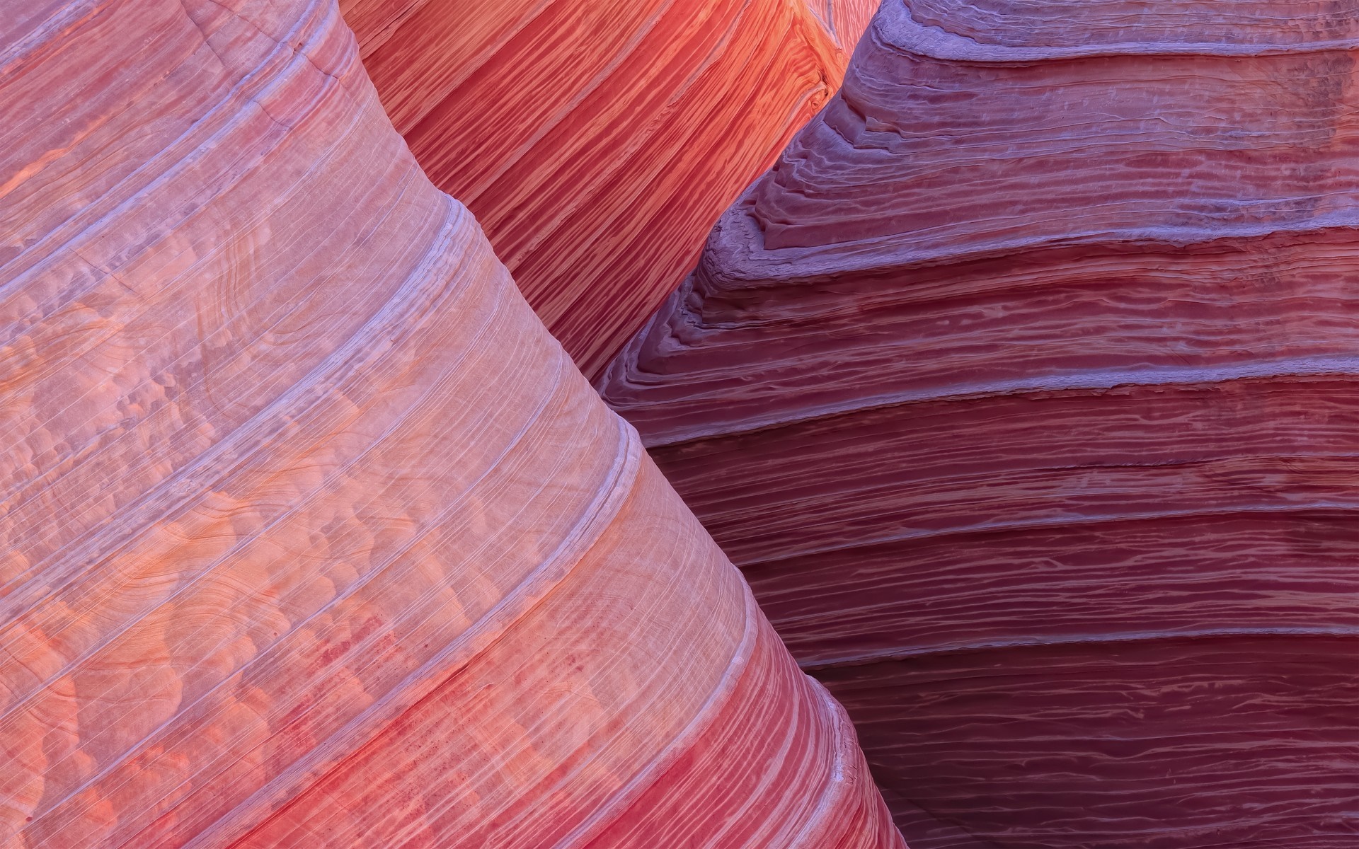 Close up of sandstone rock formations with red and pink hues HD Wallpaper