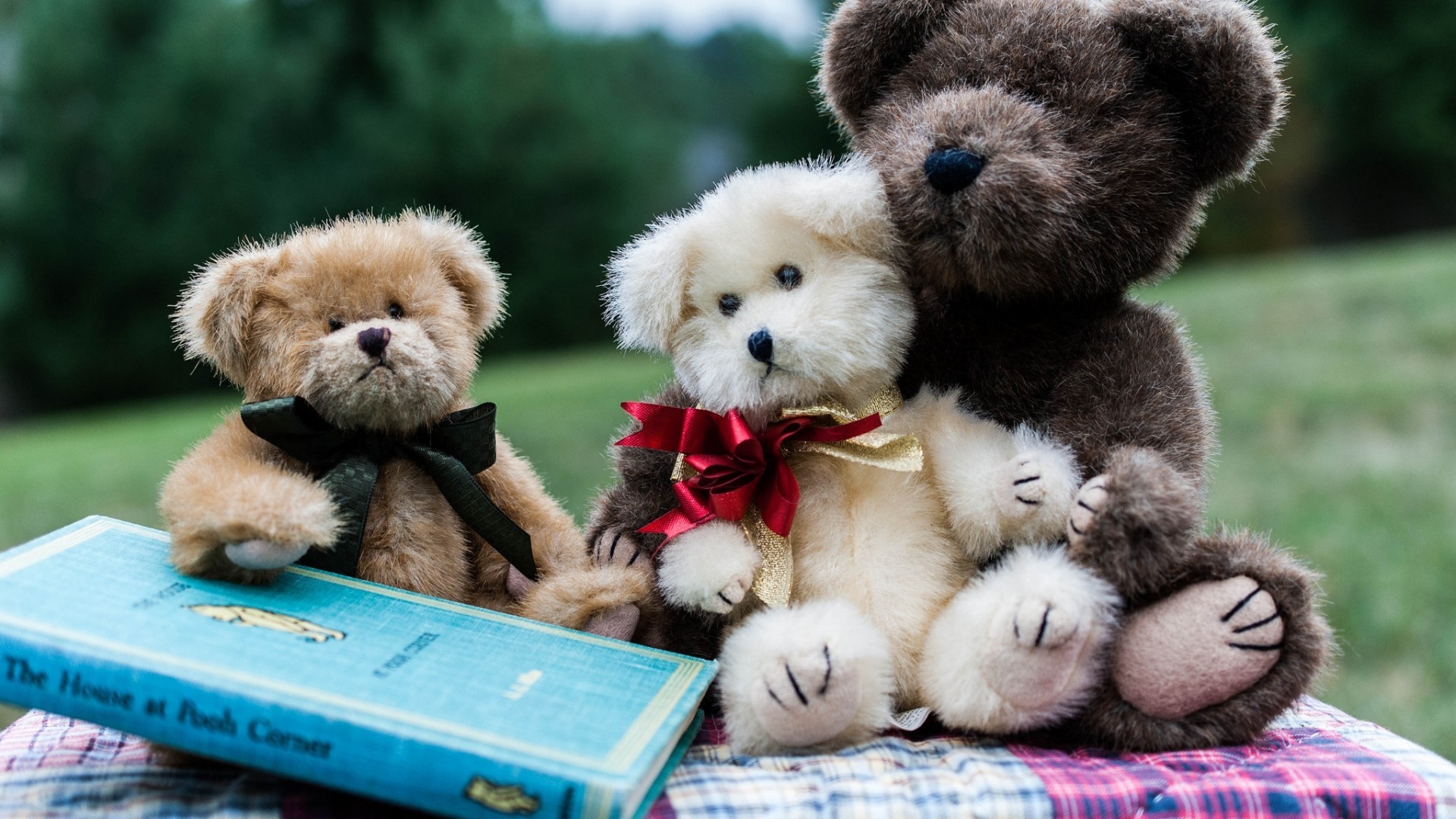 Three teddy bears and a book HD Wallpaper