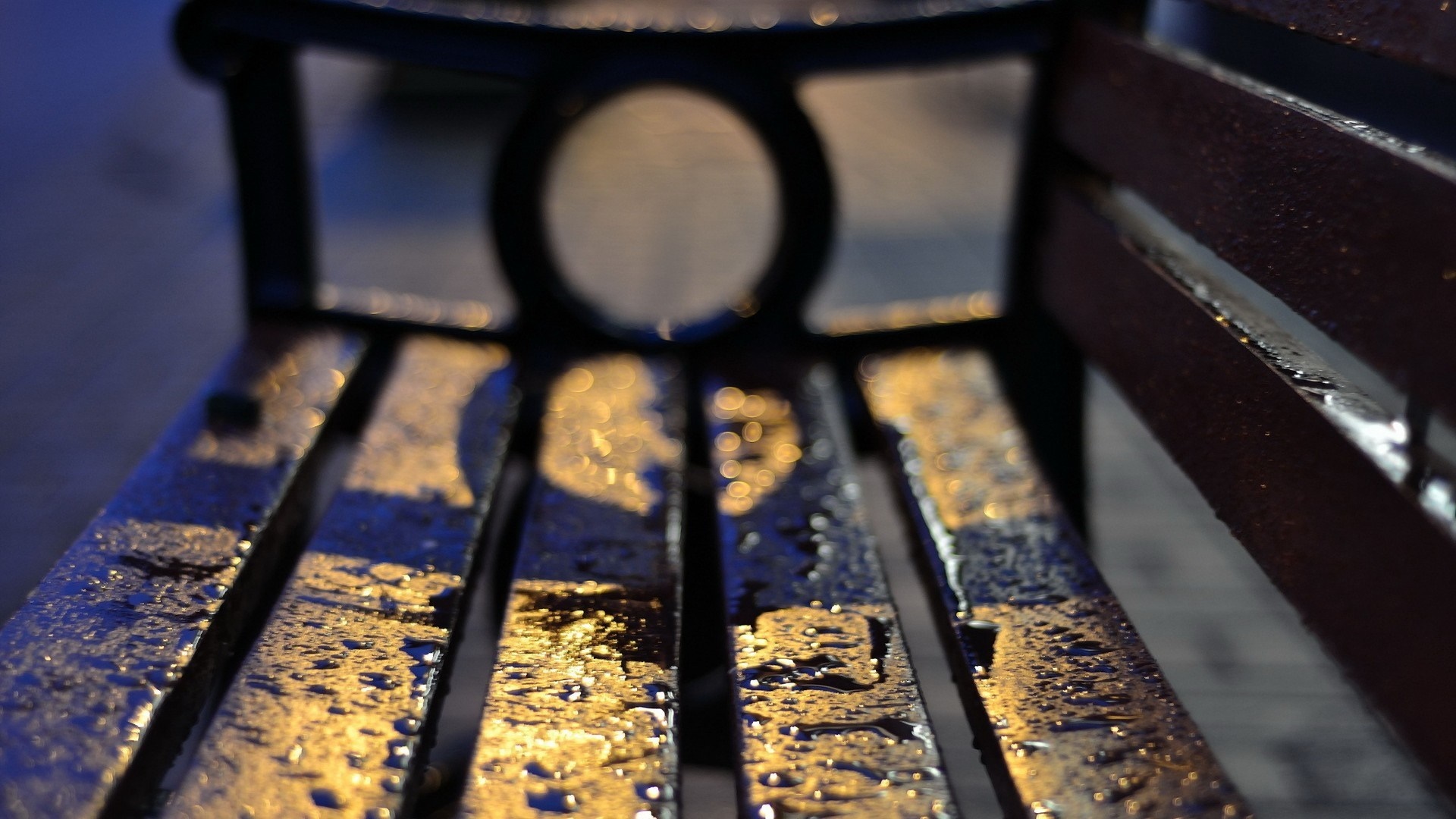 Close up of a wet park bench with bokeh lights HD Wallpaper