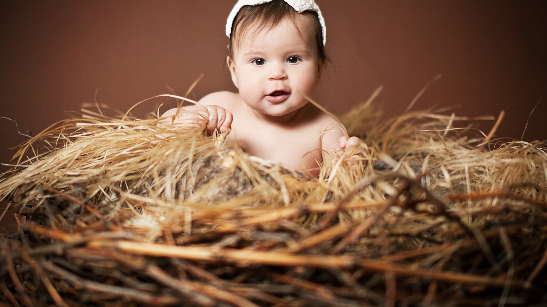 Baby in a nest with straw HD Wallpaper