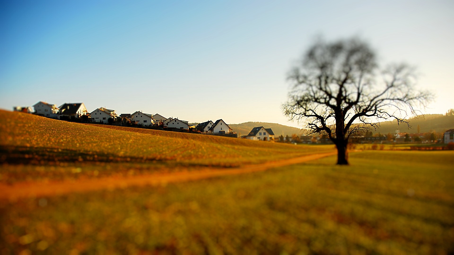 Rural landscape with houses and a bare tree at sunset HD Wallpaper