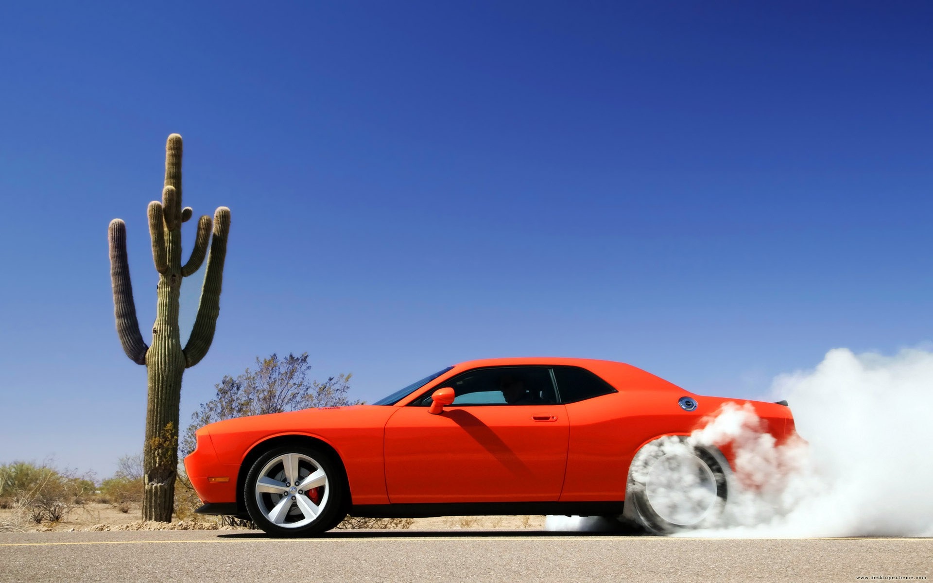 Orange Dodge Challenger doing a burnout next to a saguaro cactus HD Wallpaper